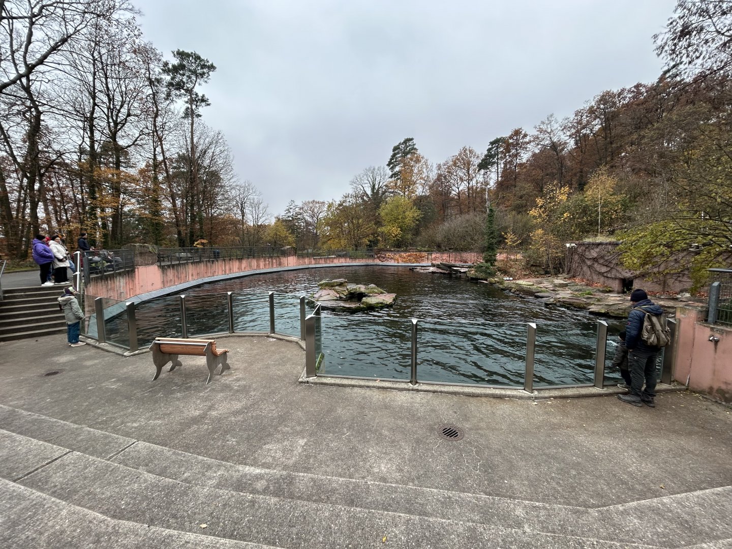 California Sea Lion & Harbor Seal Exhibit