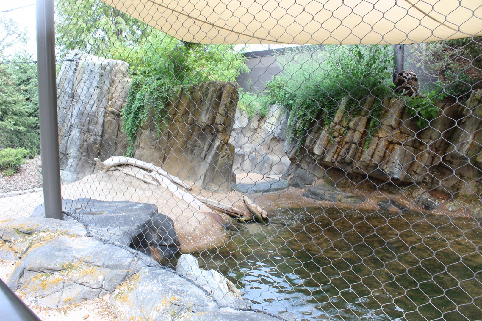 California Sea Lion & Harbor Seal Pupping Beach - Sea Lion Shores