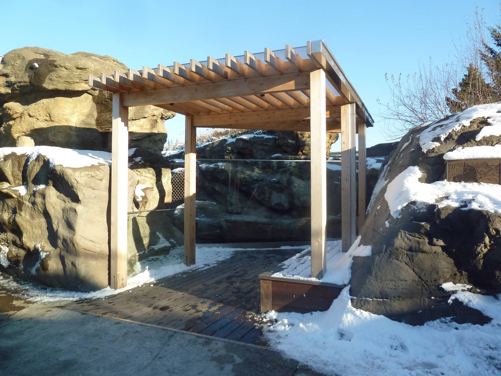 California Sea Lion/Harbour Seal Exhibit - New Viewing Area Added In 2013