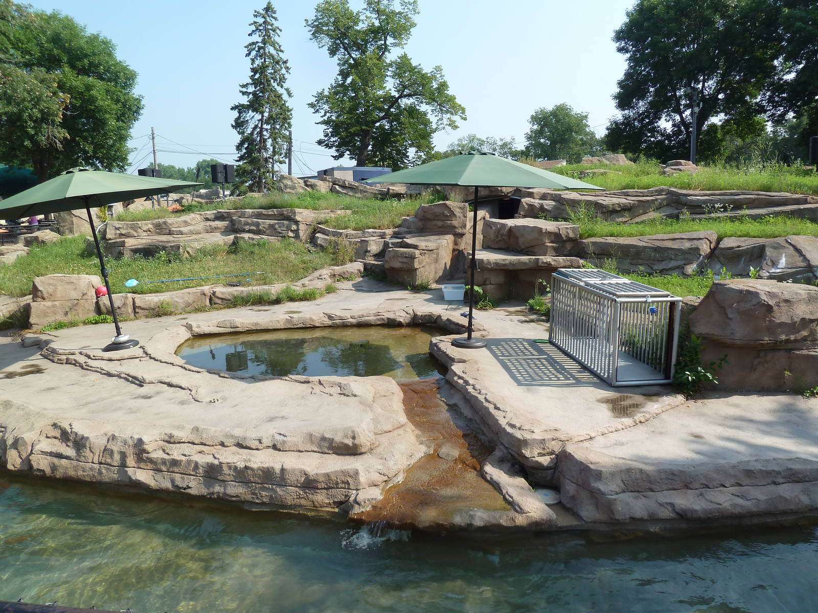 California Sea Lion/Harbour Seal Exhibit
