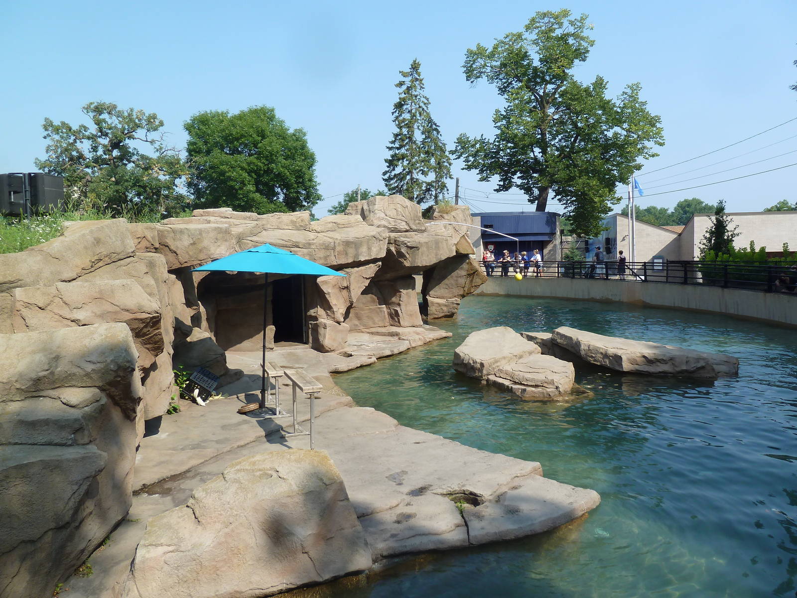 California Sea Lion/Harbour Seal Exhibit