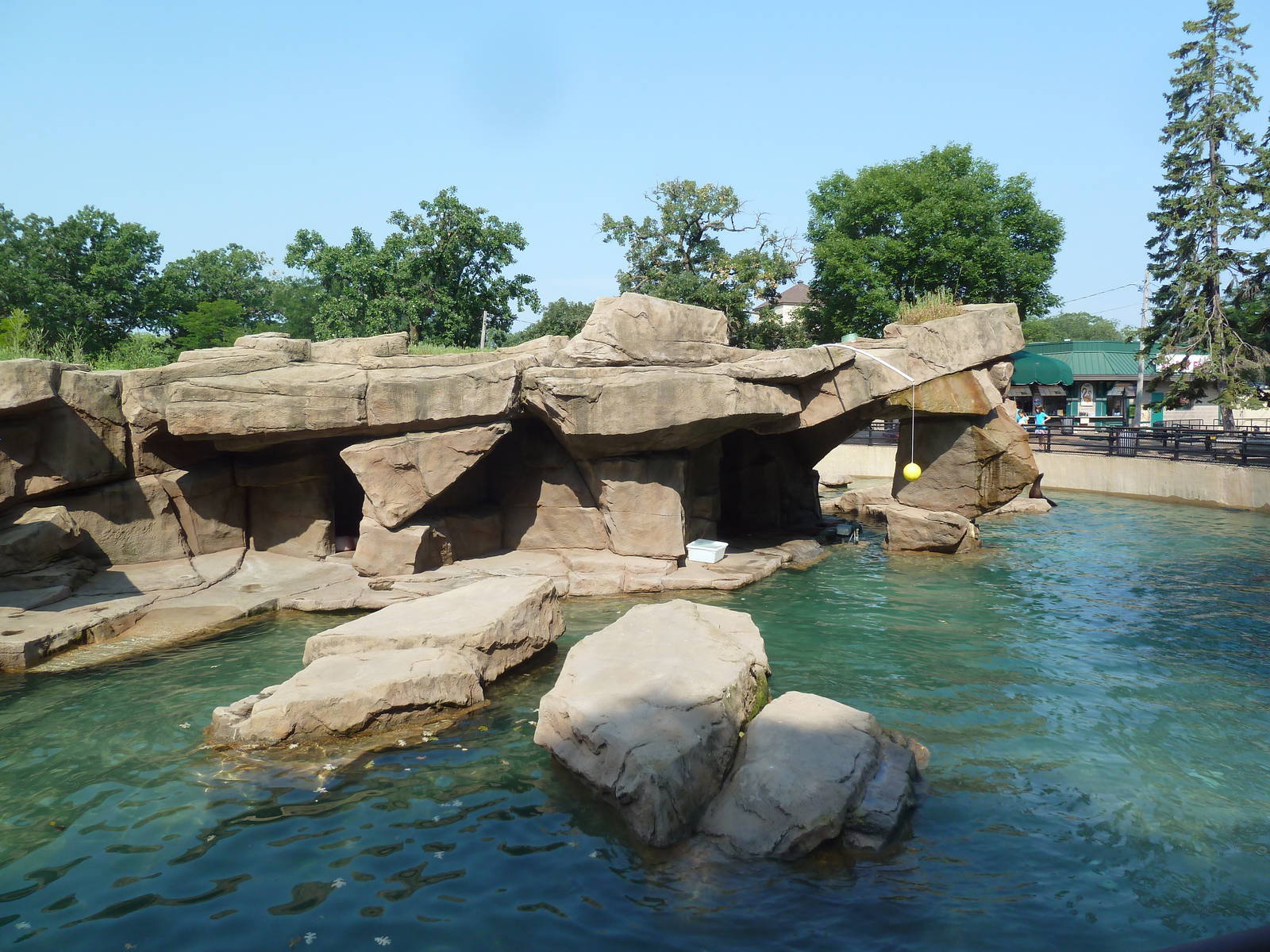 California Sea Lion/Harbour Seal Exhibit