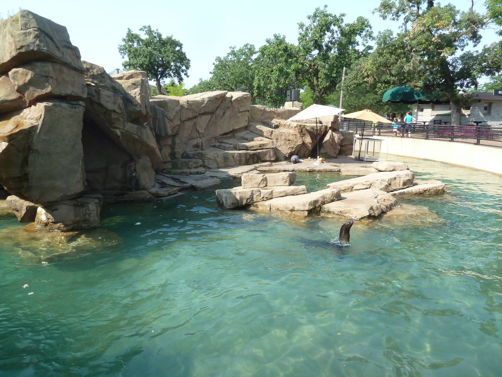 California Sea Lion/Harbour Seal Exhibit