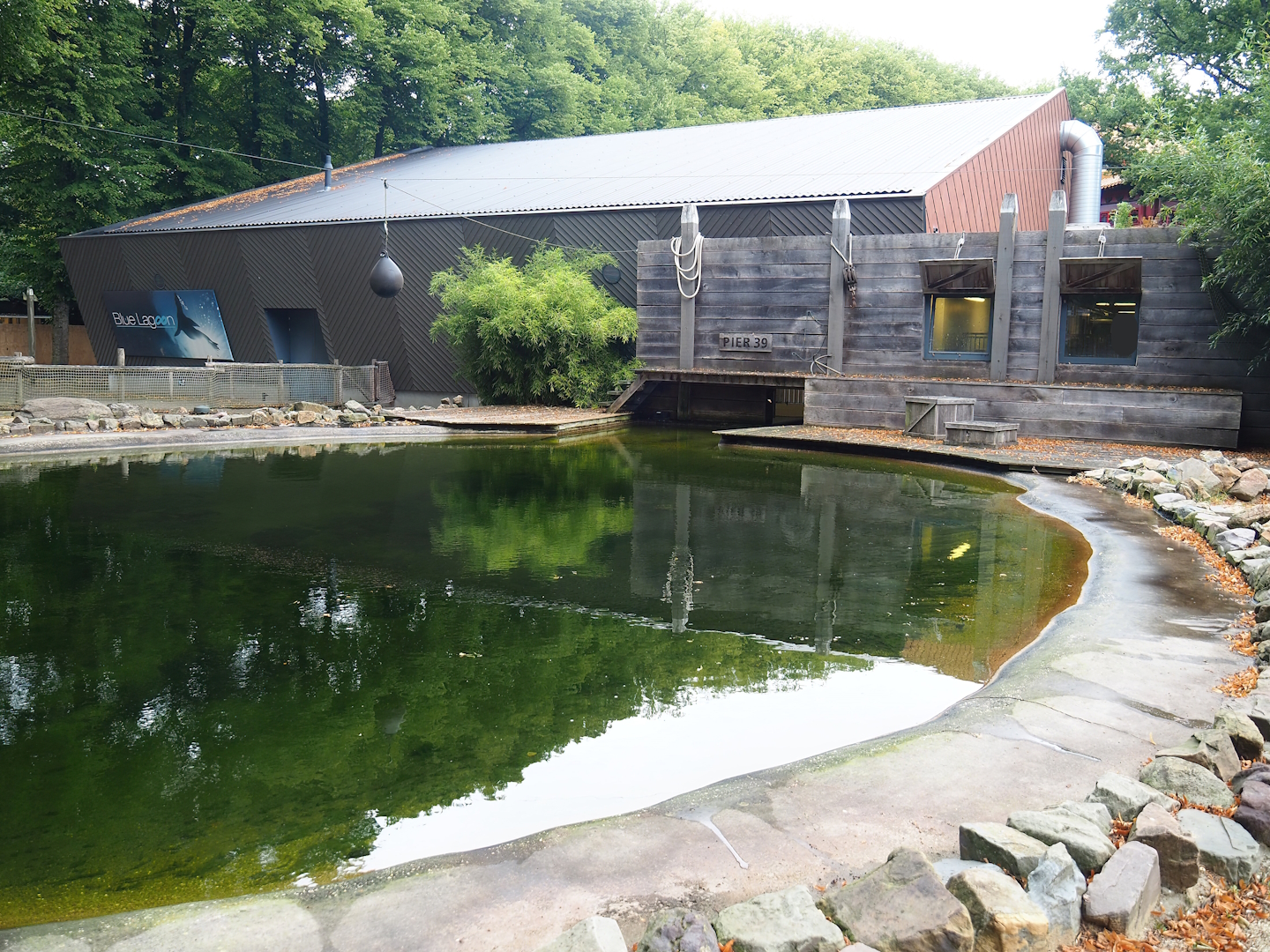 California sea lion outdoor pool and sea lion theater and sea lion holding buildings, 2023-08-17
