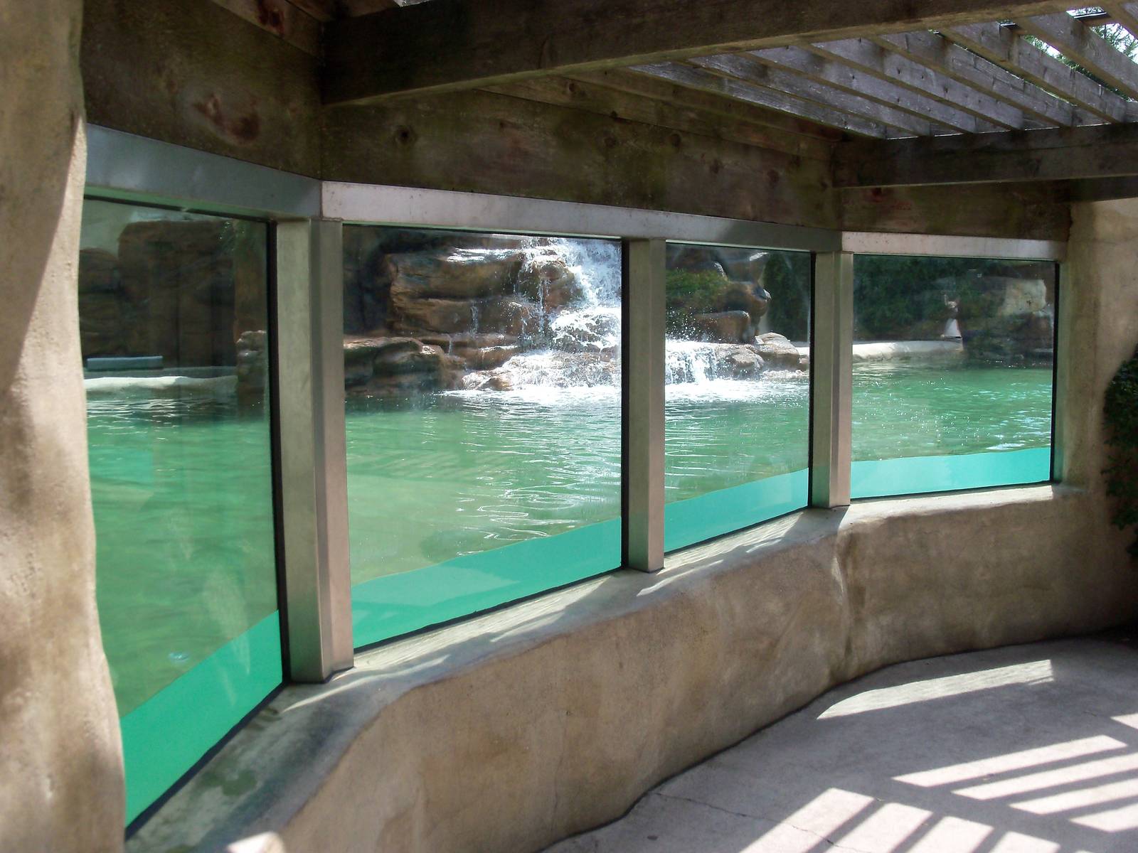California Sea Lion Pool