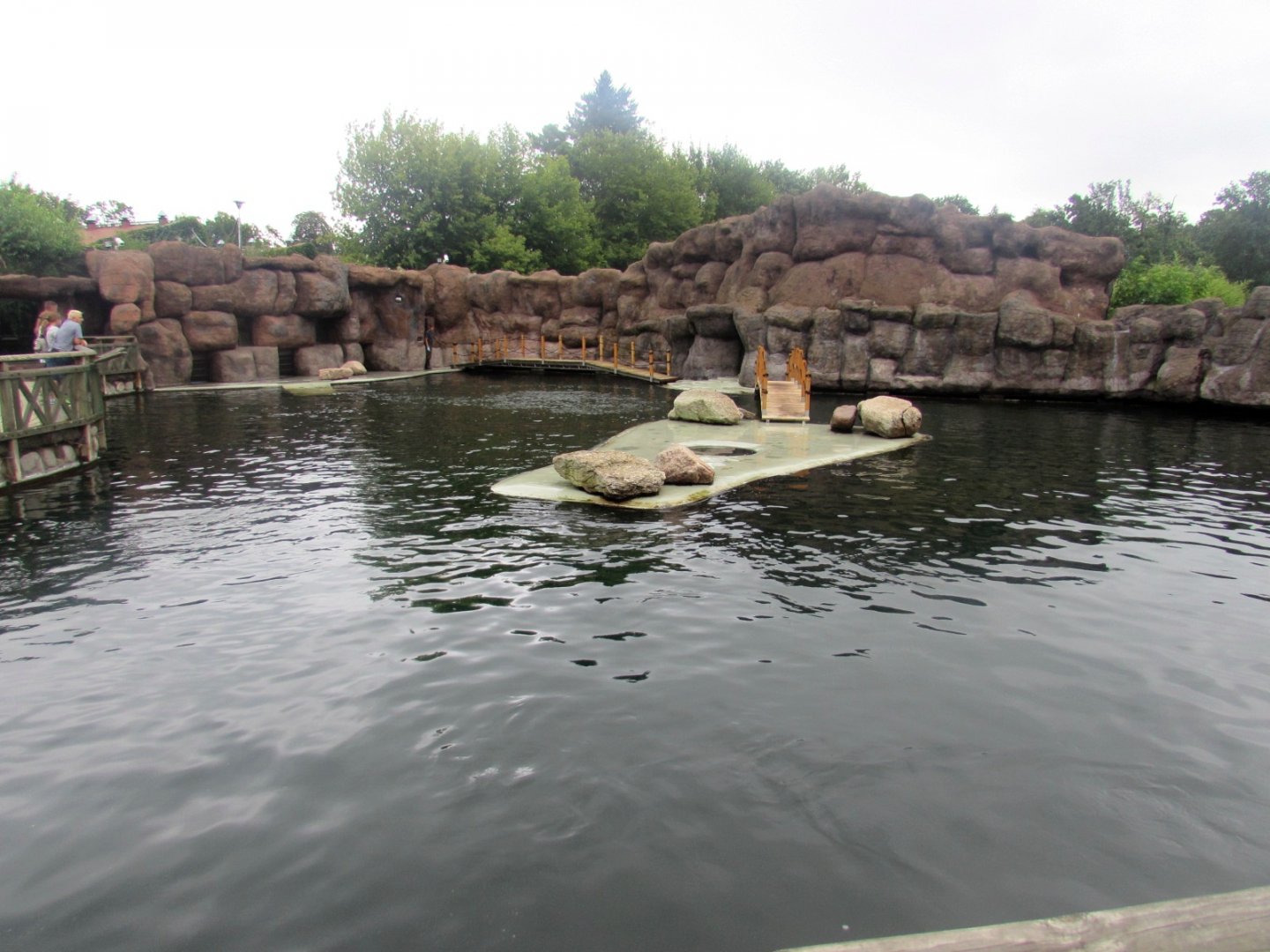 California Sea Lion pool