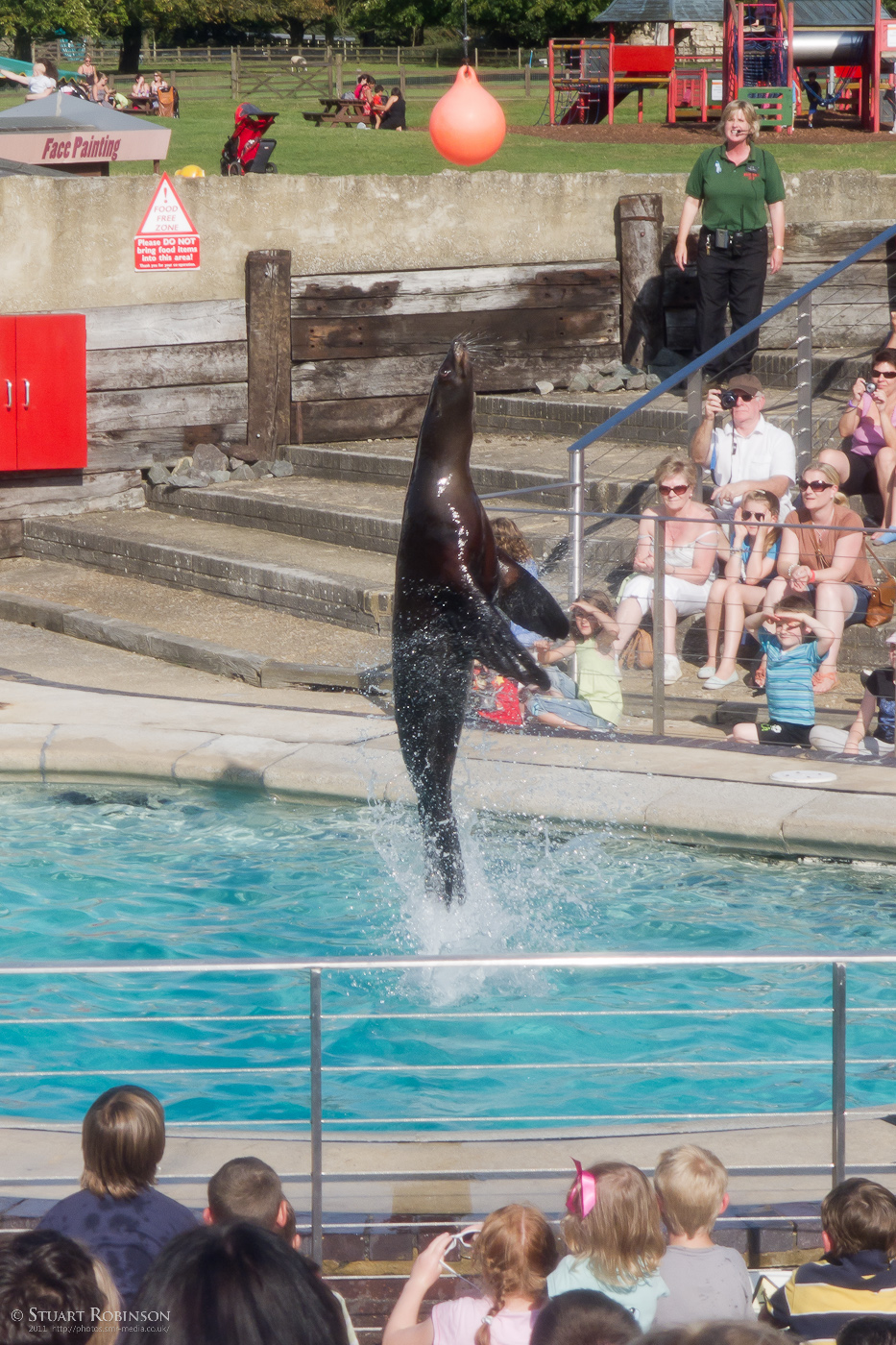 California Sea Lion Show - 02/09/2011