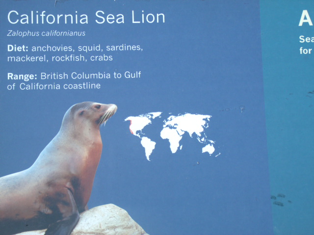 California Sea Lion Signage