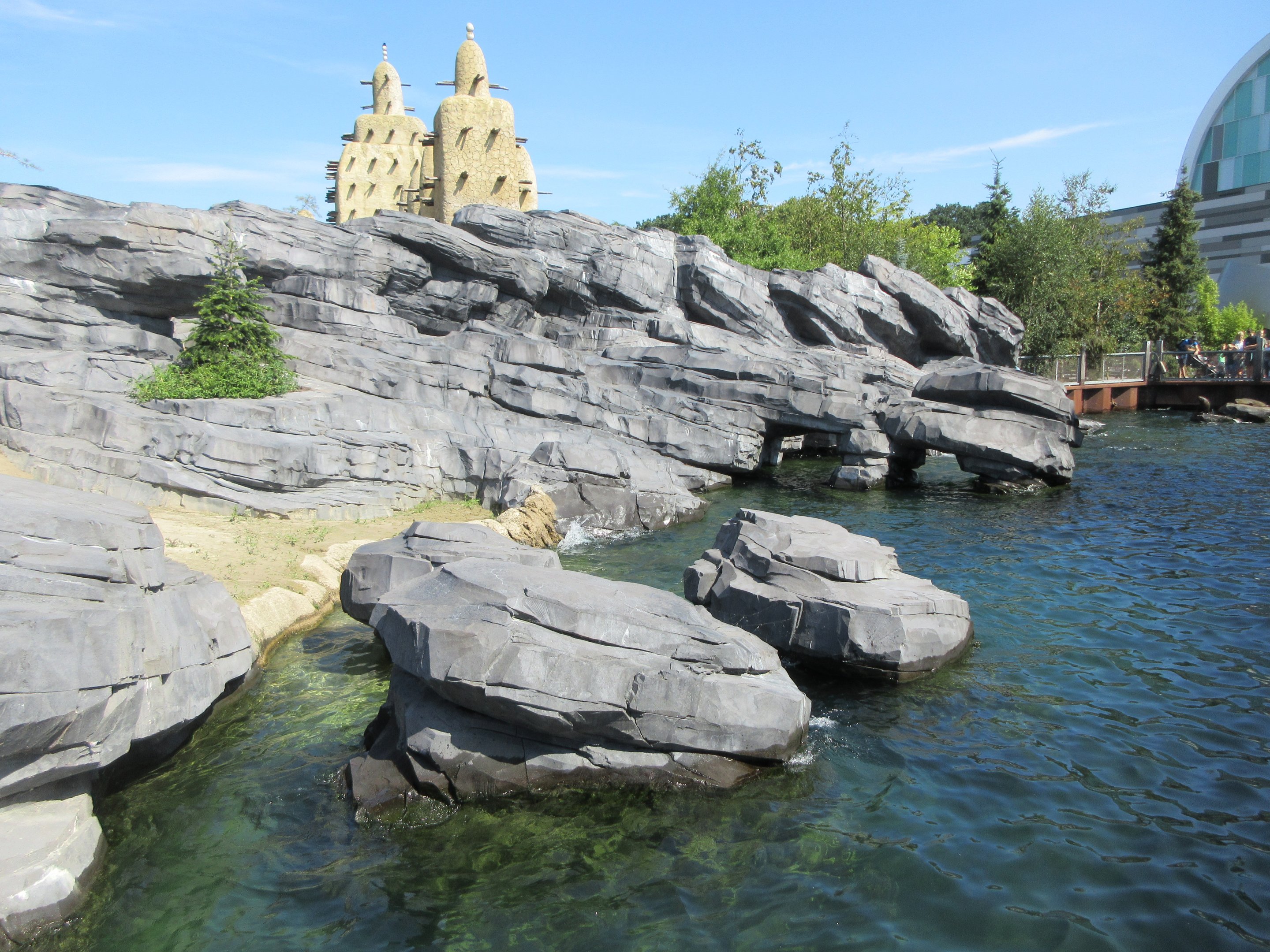 California Sea Lion/South American Fur Seal Exhibit