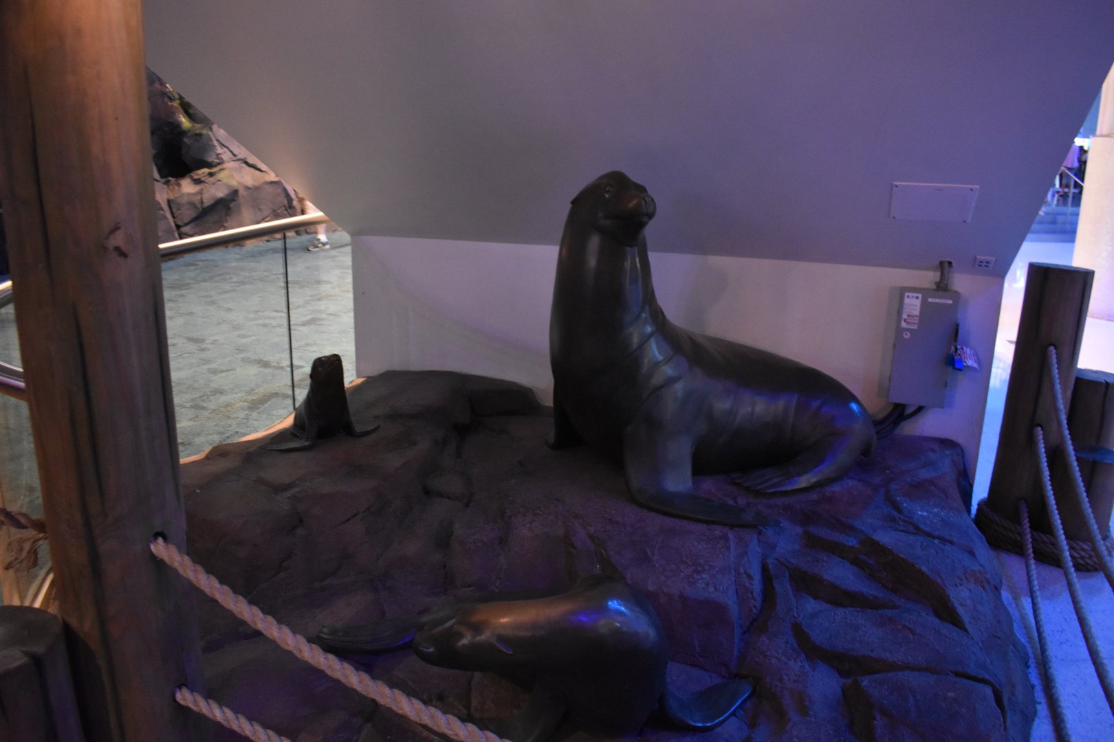 California Sea Lion Statues