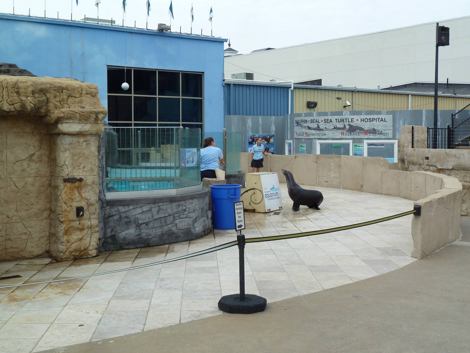 California Sea Lion Theater