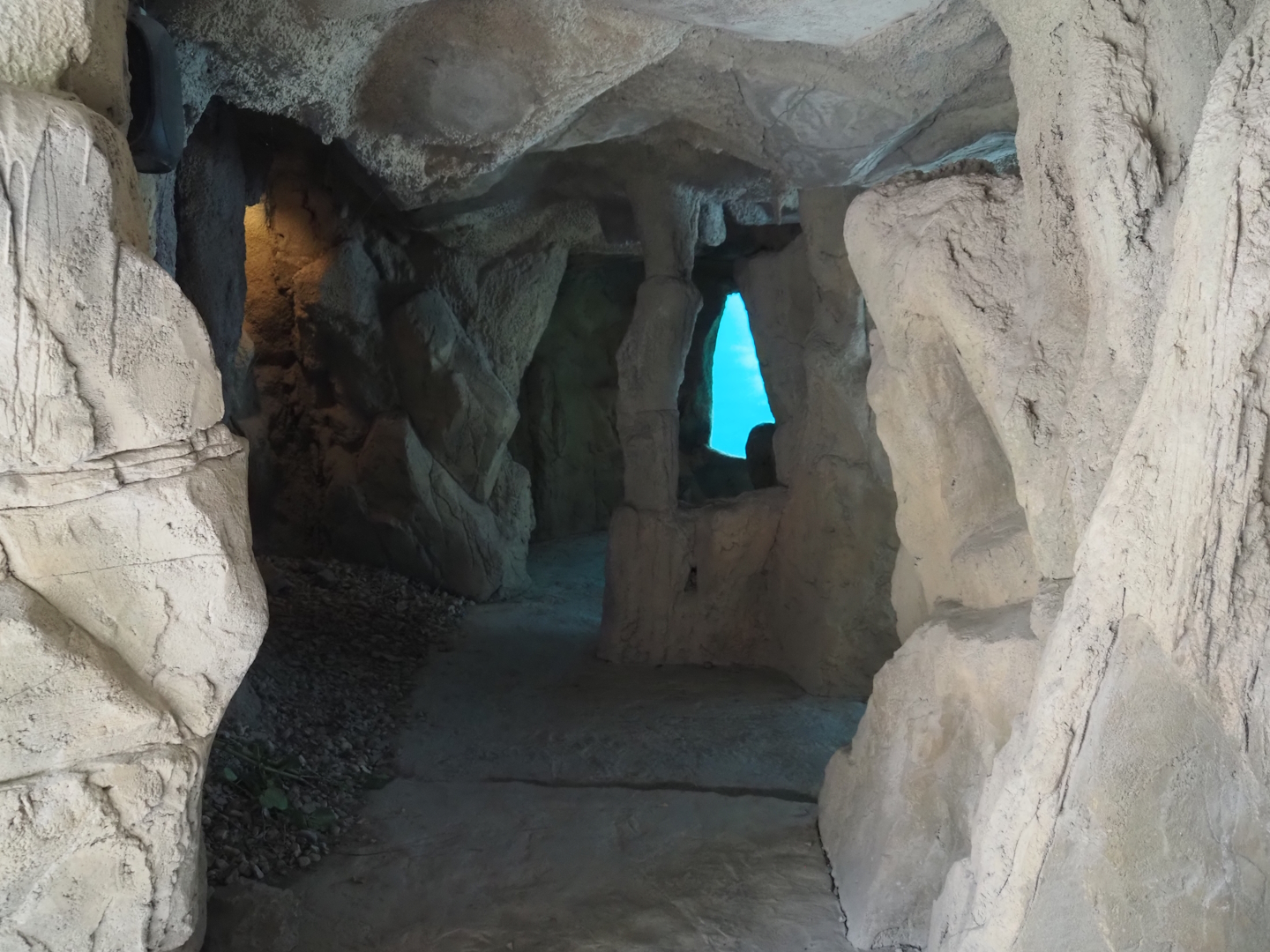 California sea lion underwater viewing cave, 2024-08-05