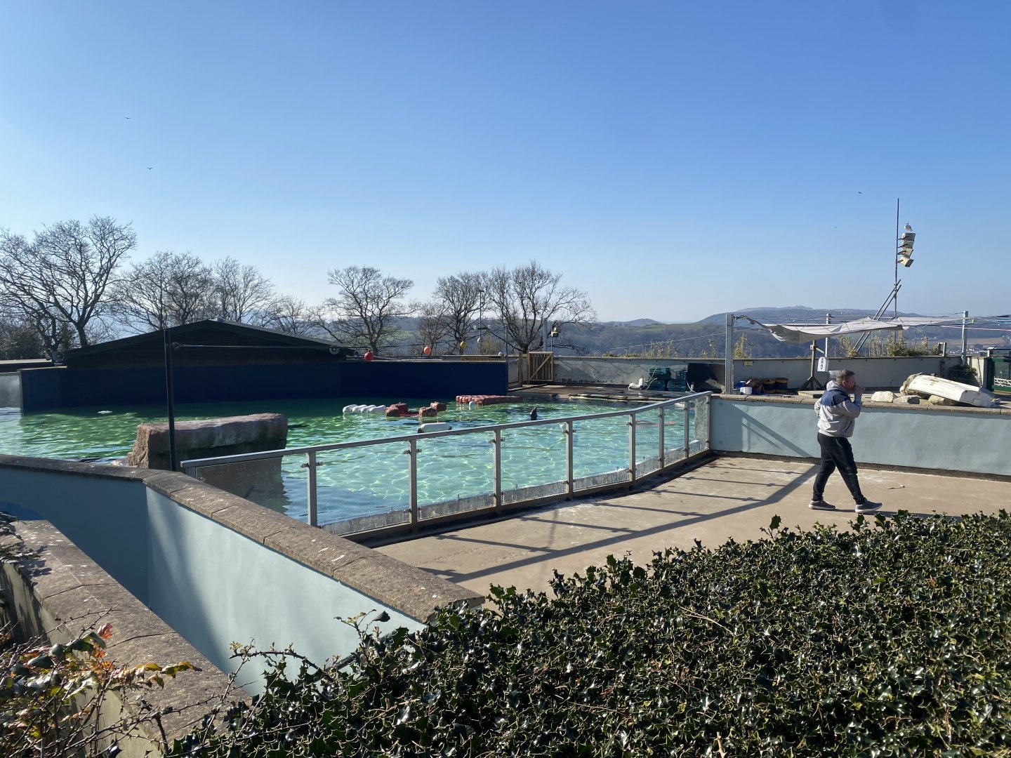 California sealion enclosure 190325