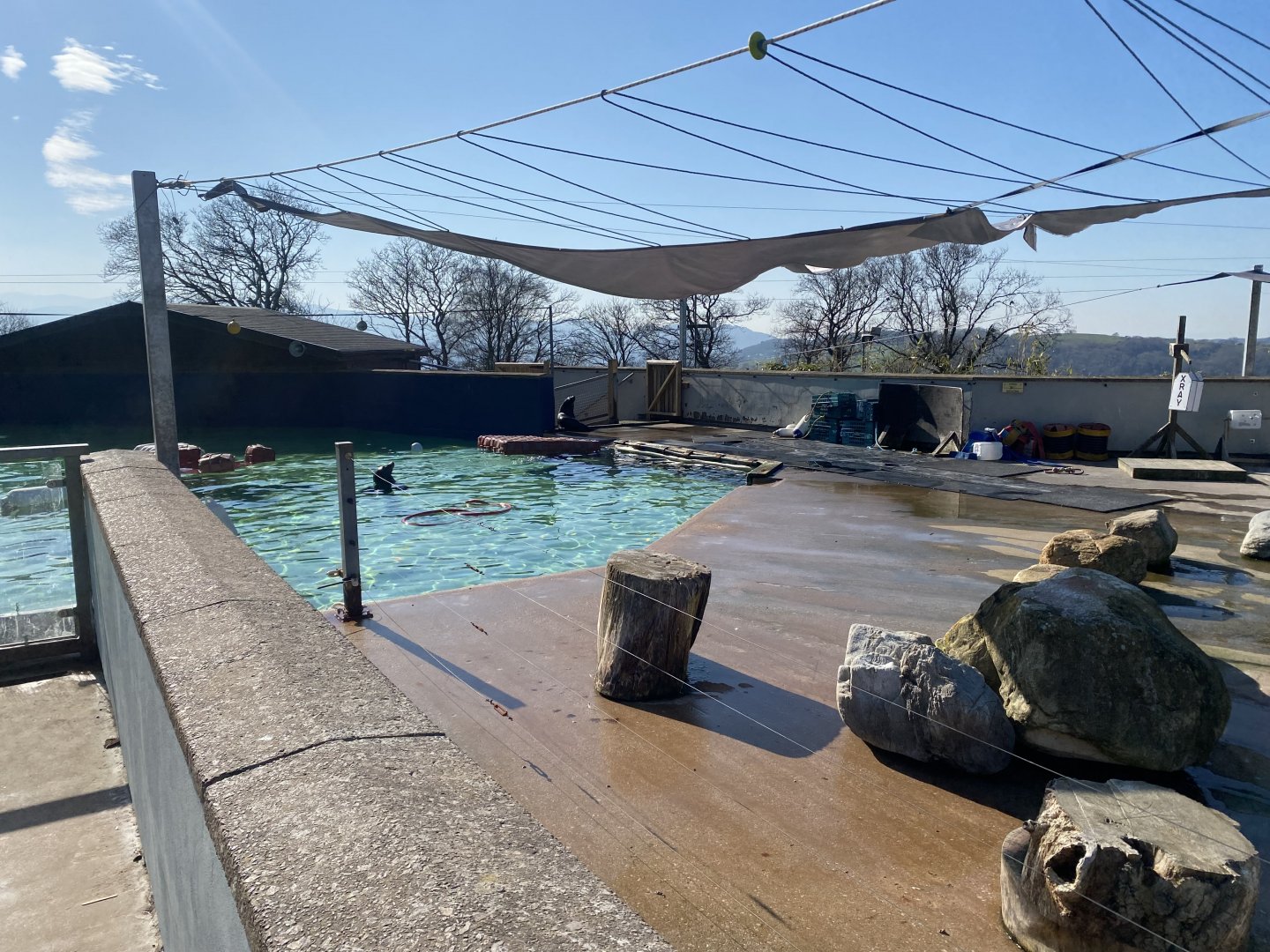 California sealion enclosure 190325