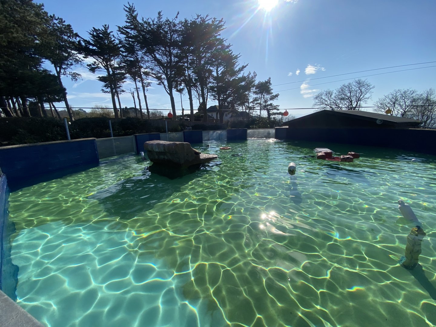 California sealion enclosure 190325