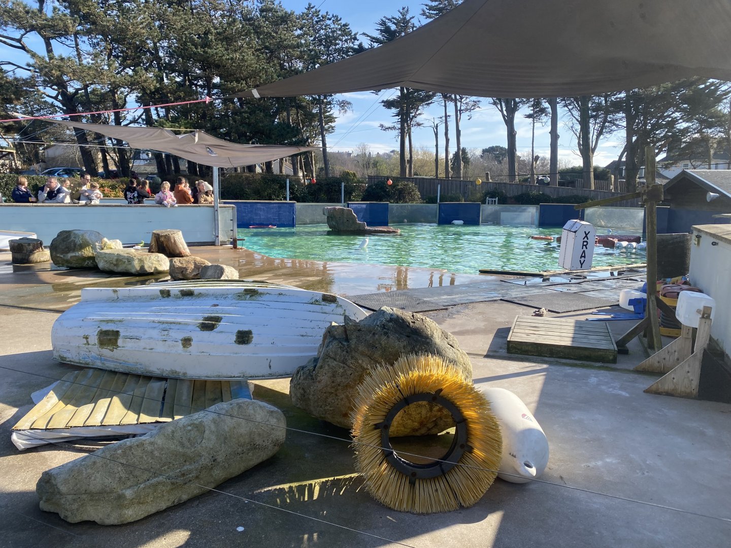 California sealion enclosure 190325