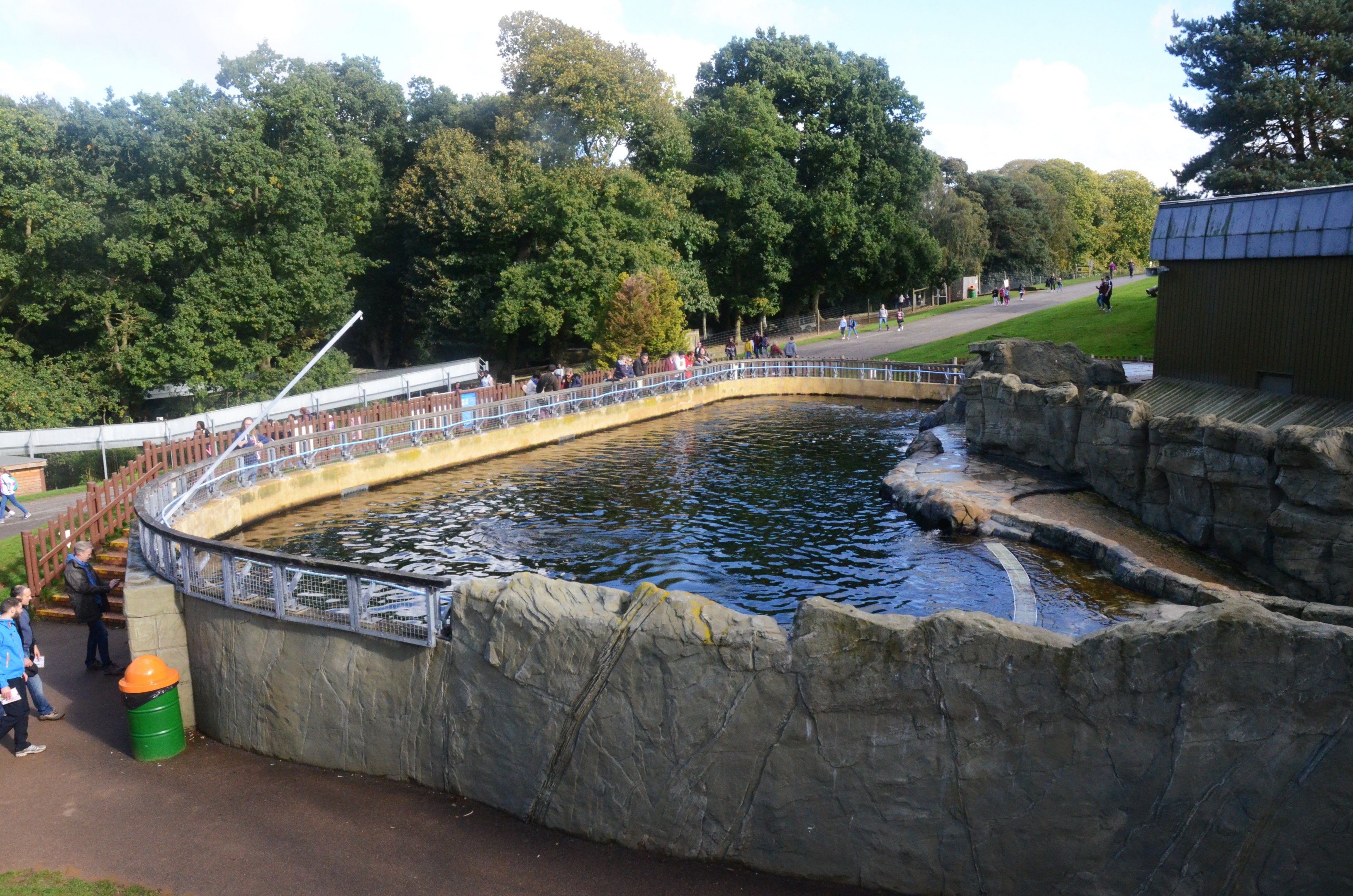 California Sealion Exhibit at Woburn Safari Park, 16/10/16