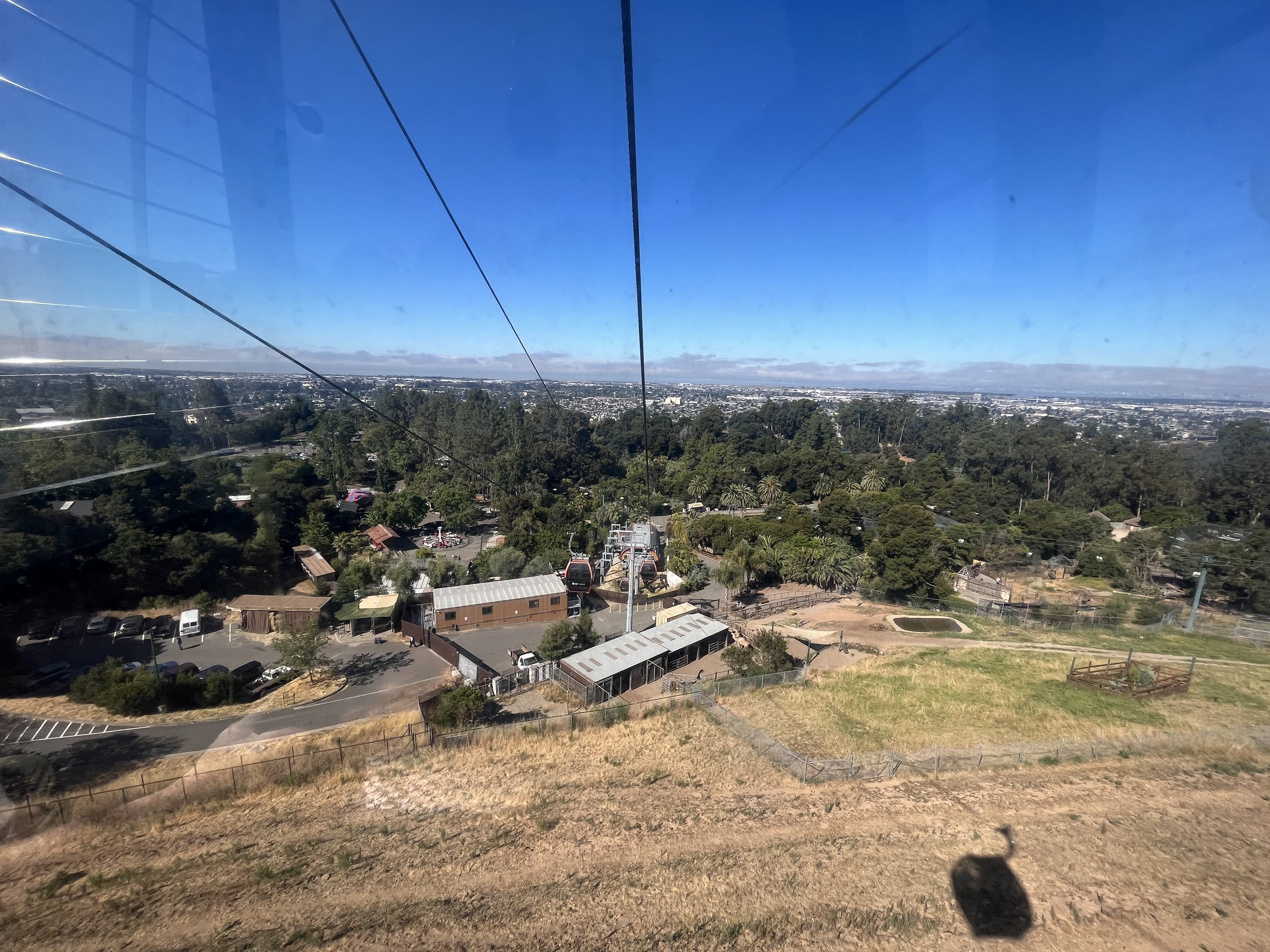 California Trail - 13-Acre American Bison Exhibit
