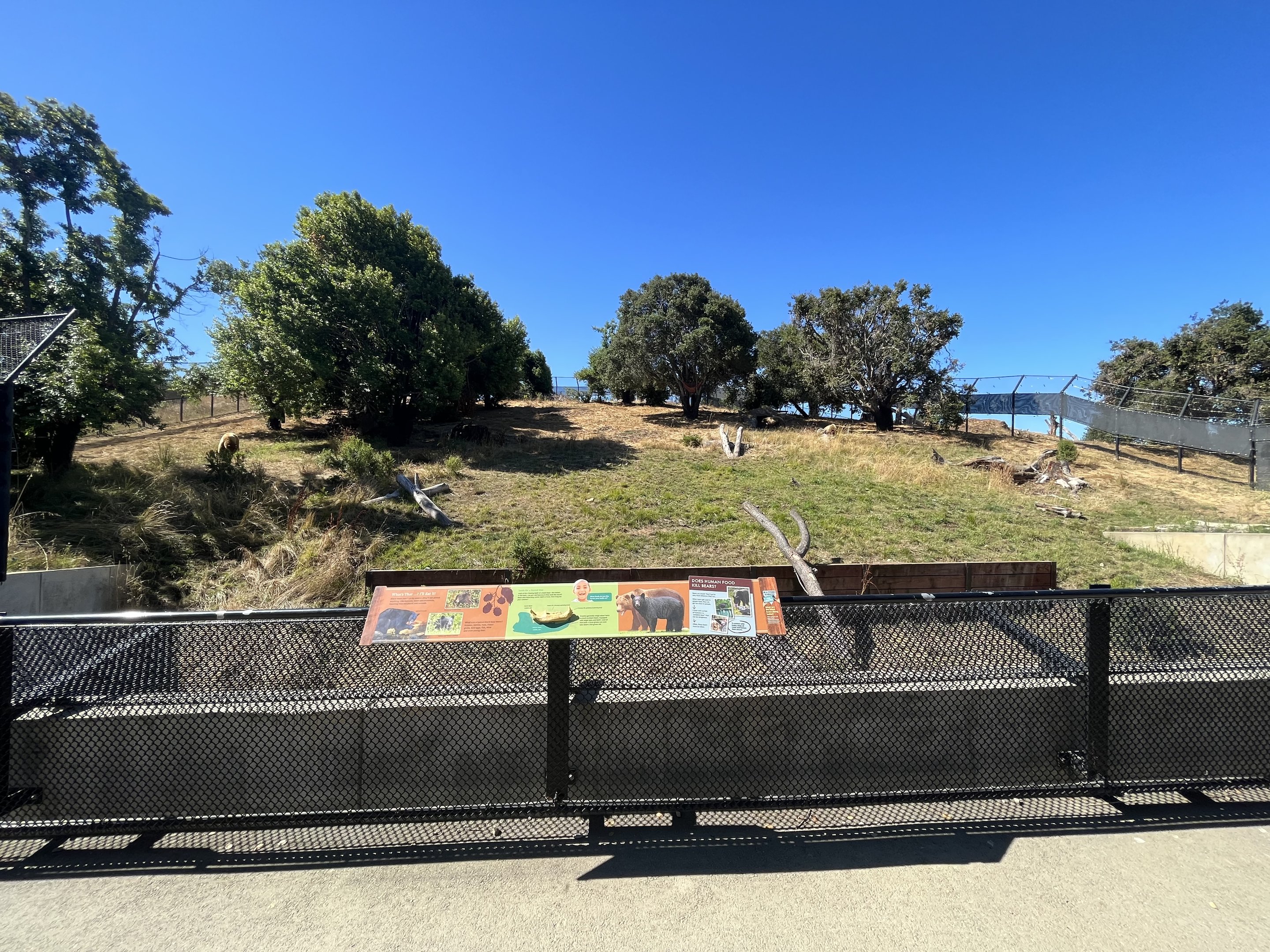 California Trail - Black Bear Exhibit