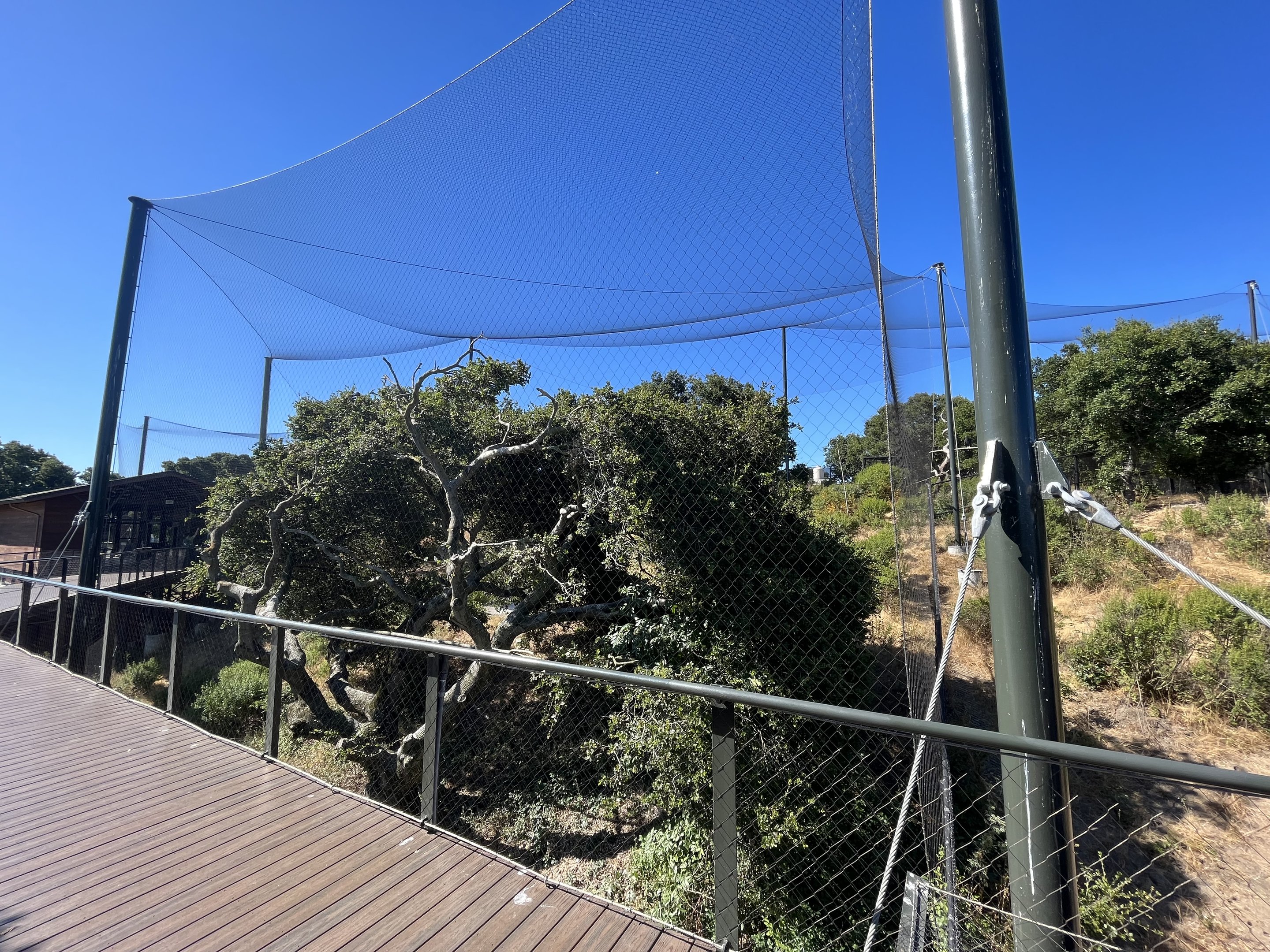 California Trail - California Condor Aviary