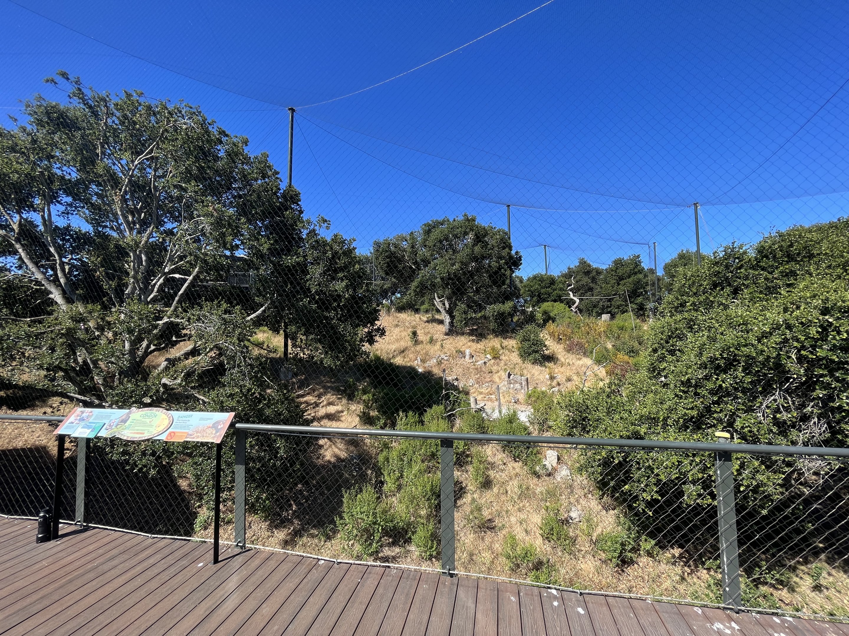 California Trail - California Condor Aviary