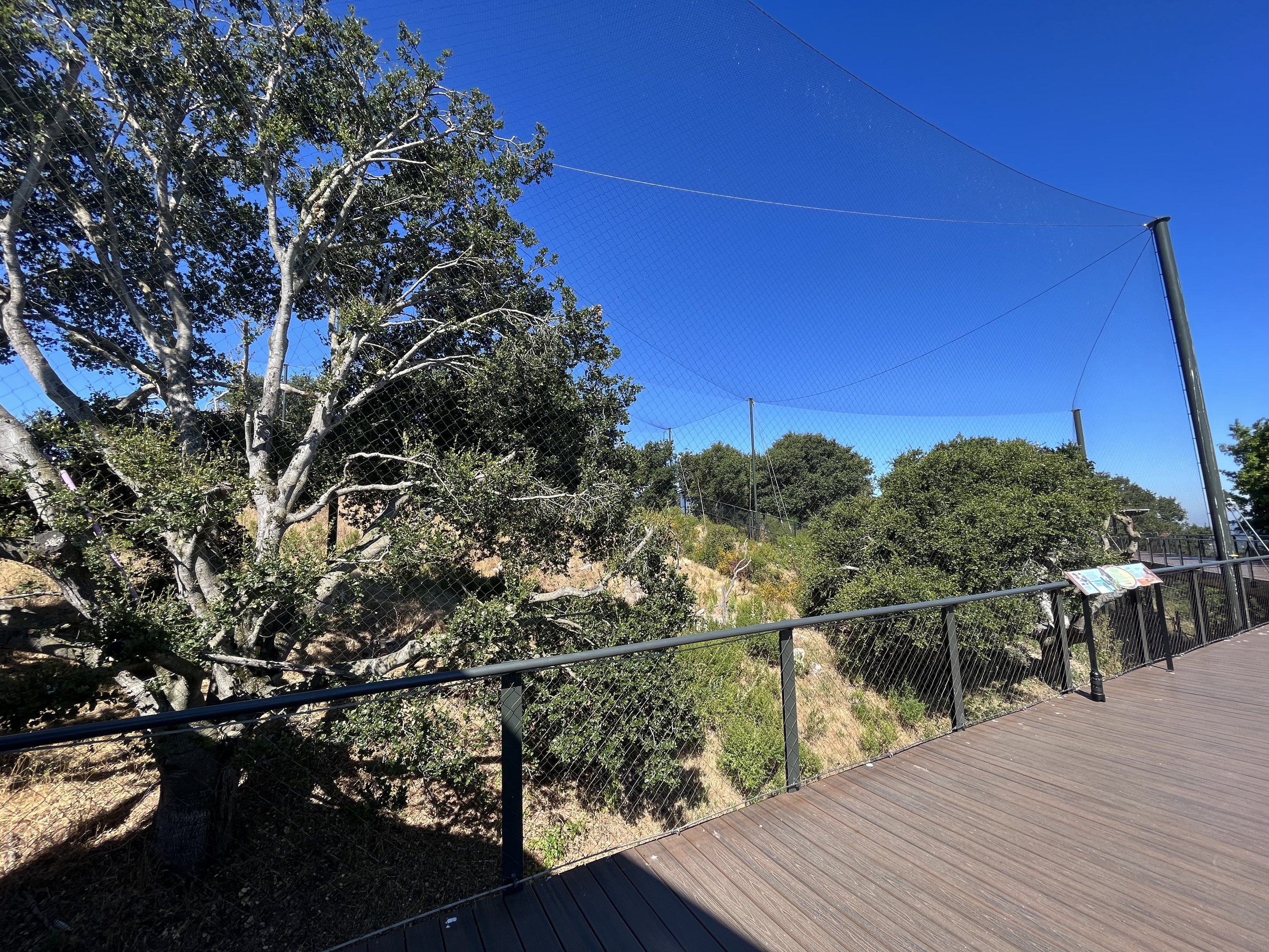 California Trail - California Condor Aviary