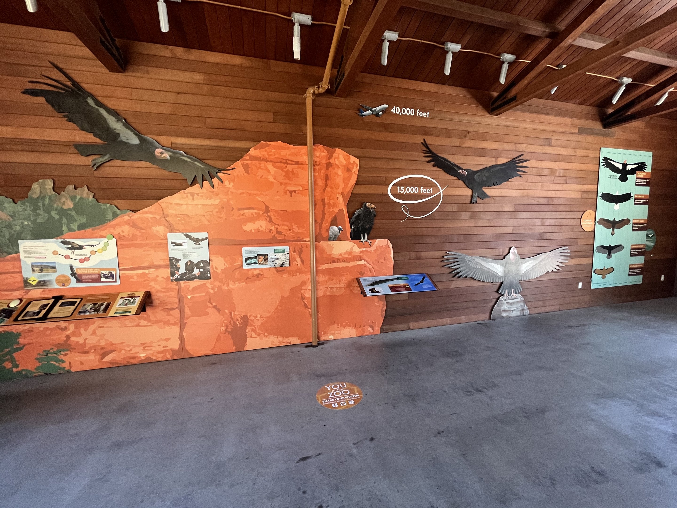 California Trail - California Condor Pavilion