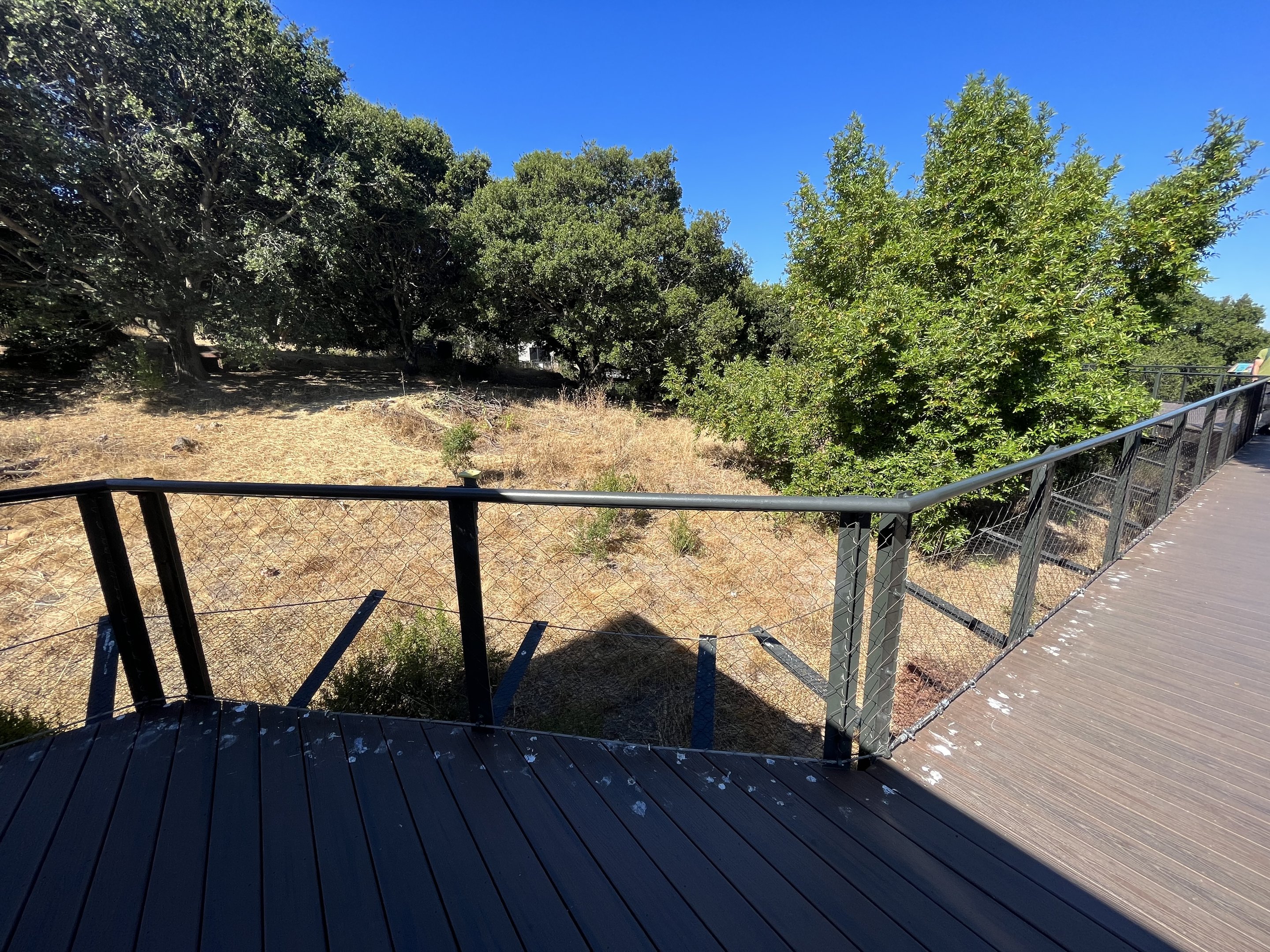 California Trail - Gray Wolf Exhibit