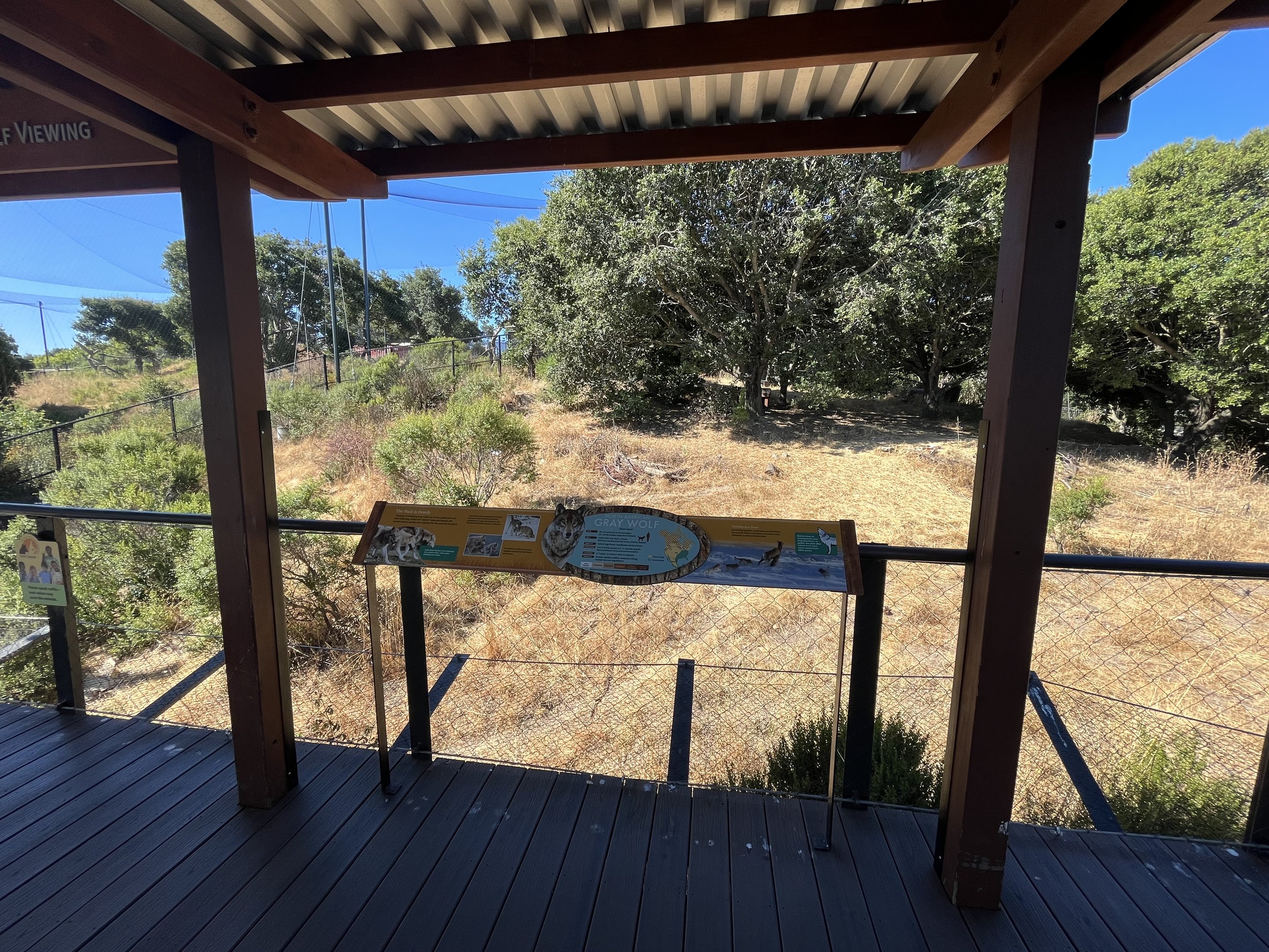 California Trail - Gray Wolf Exhibit