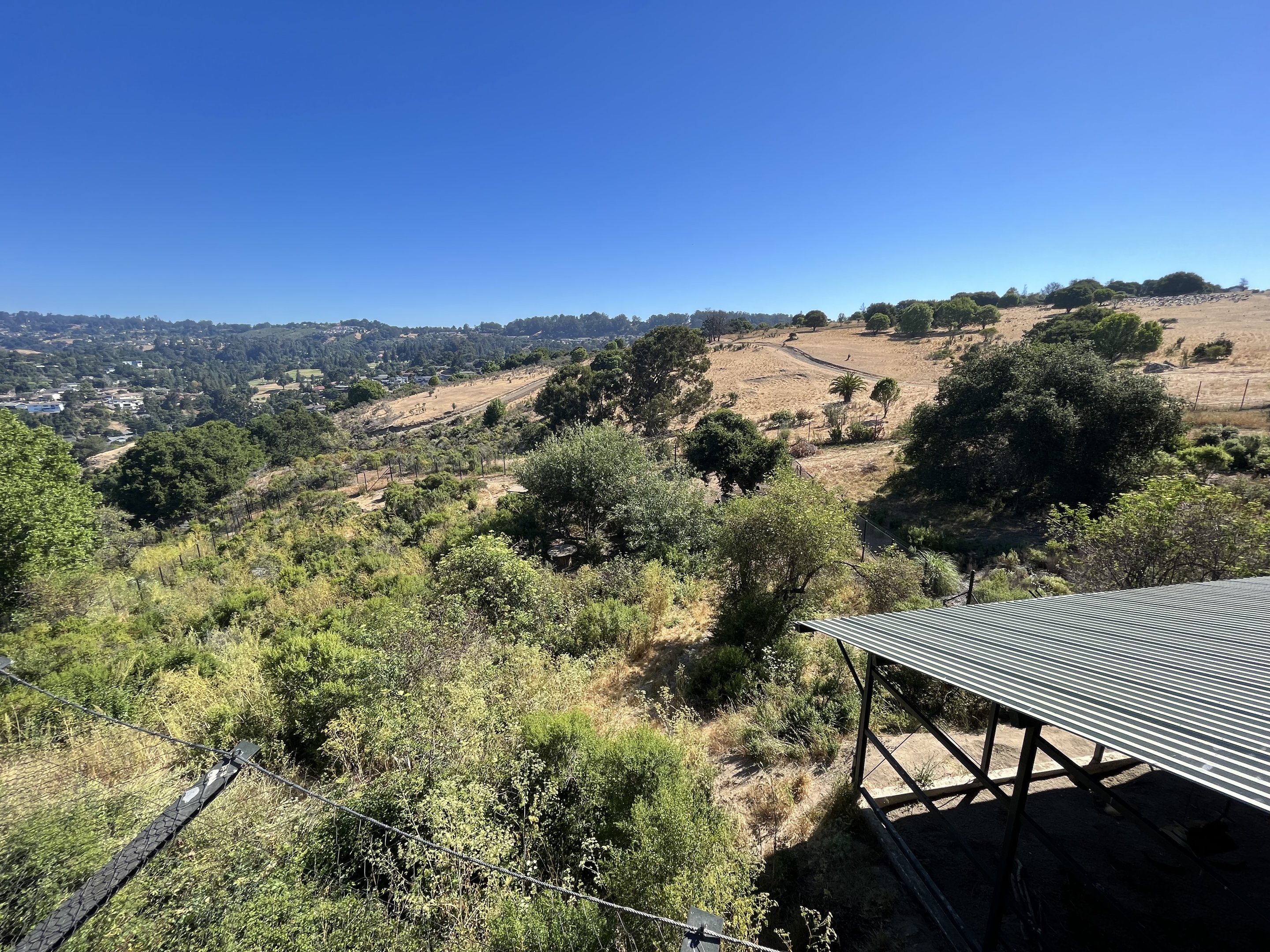 California Trail - Gray Wolf Exhibit