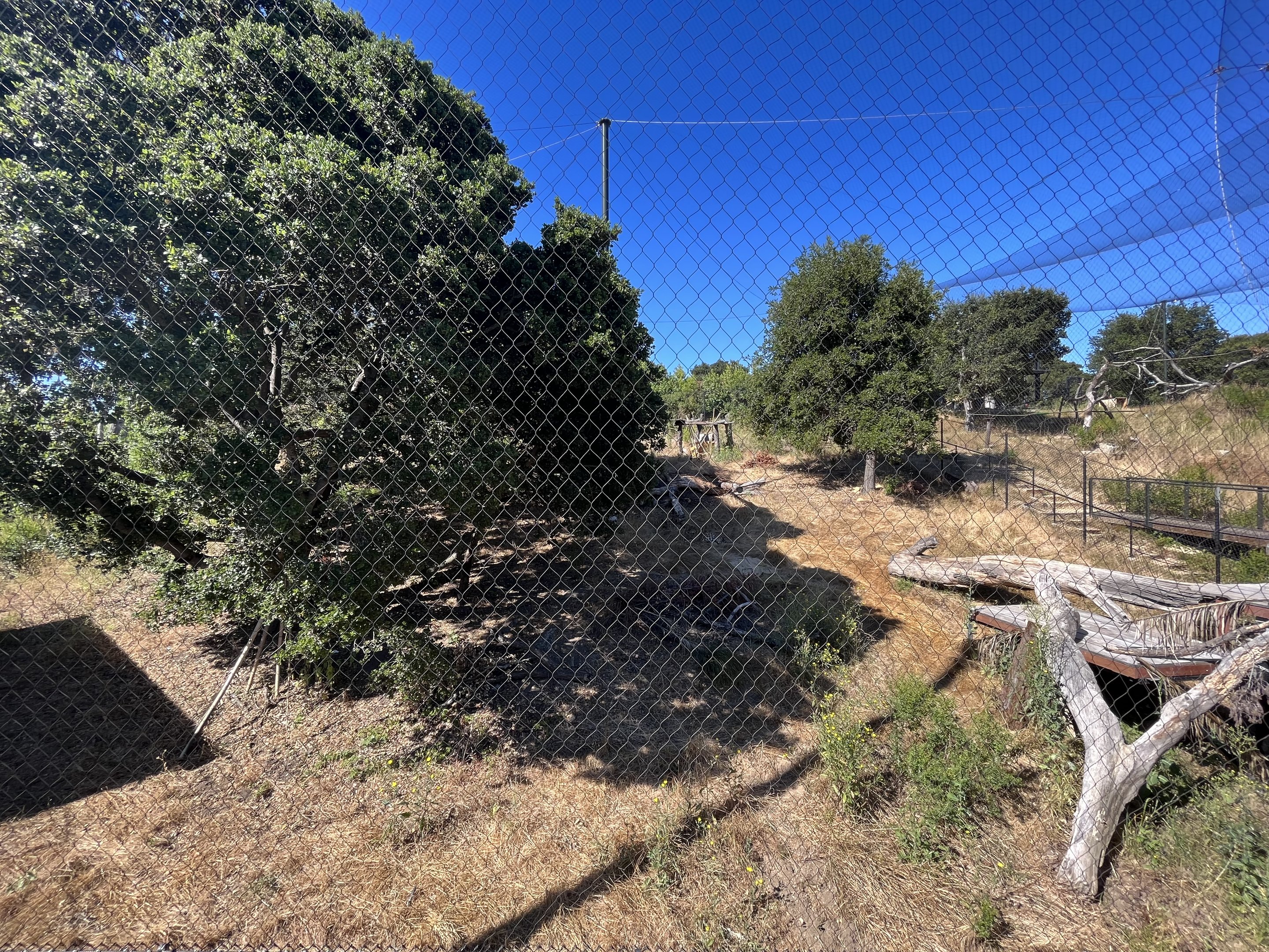 California Trail - Jaguar Exhibit