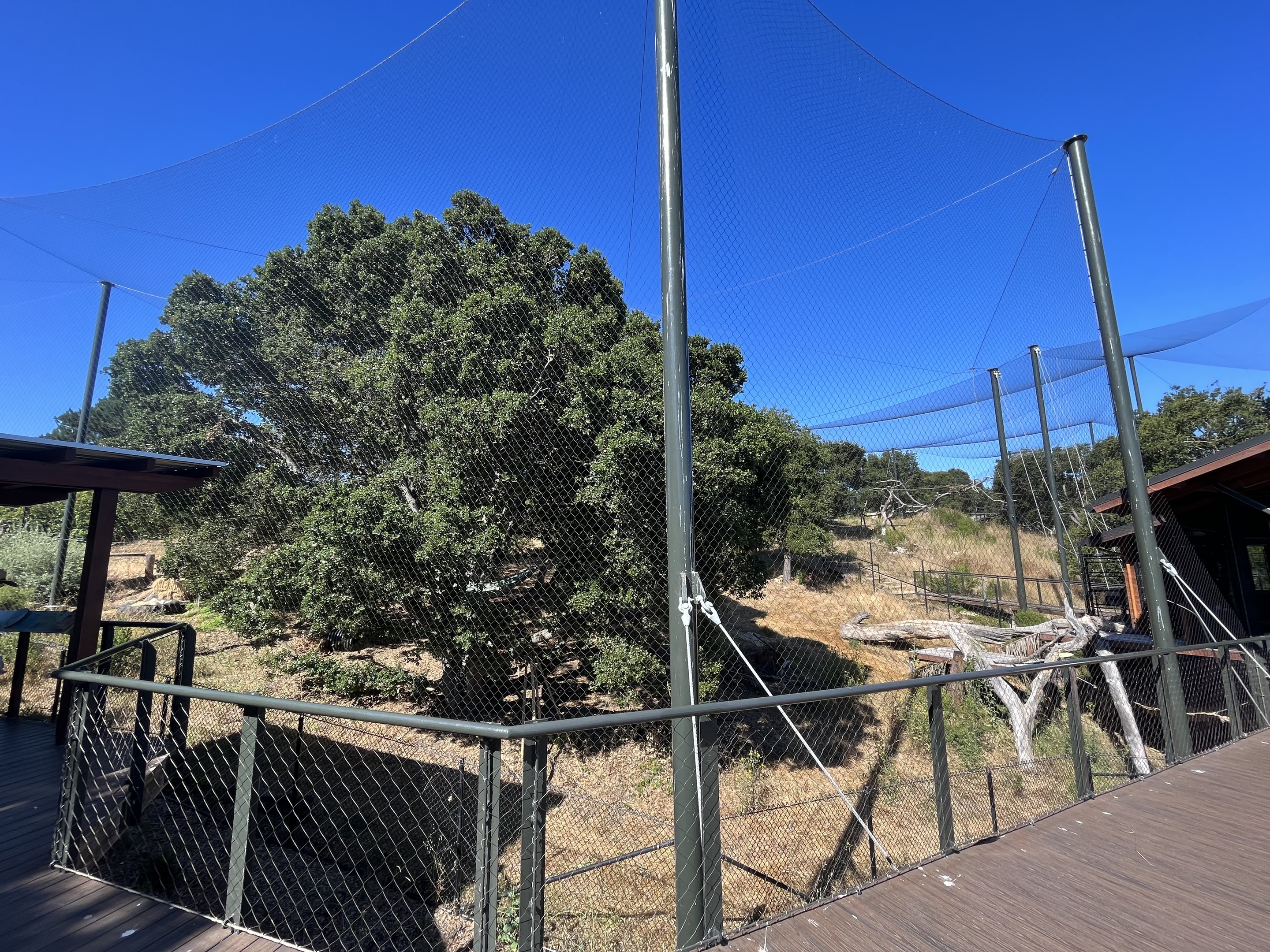 California Trail - Jaguar Exhibit