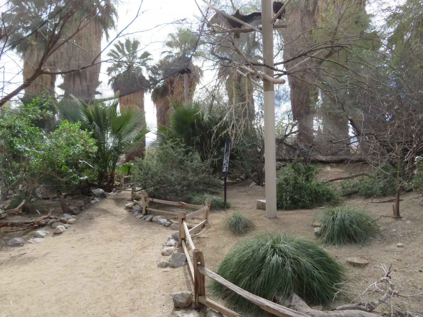 California Walk-Through Aviary