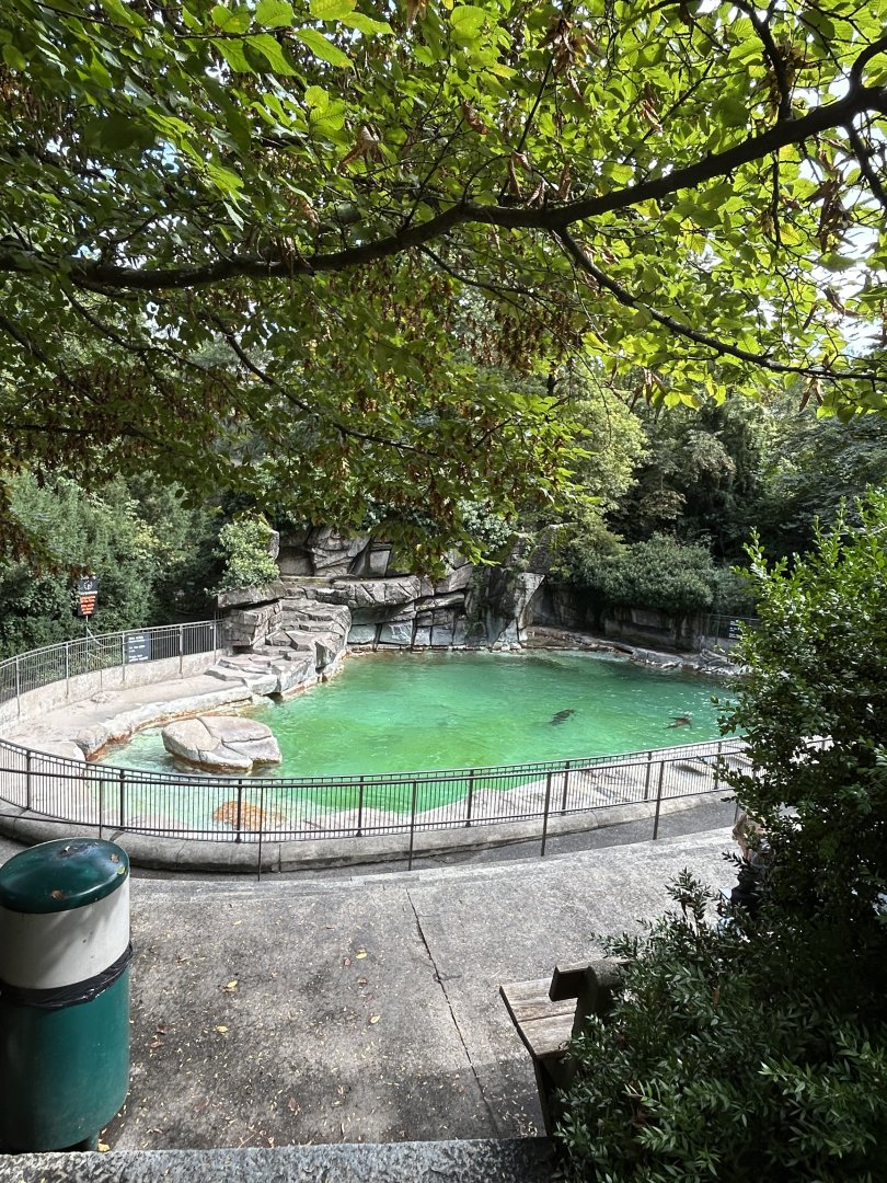 Californian sea lion basin