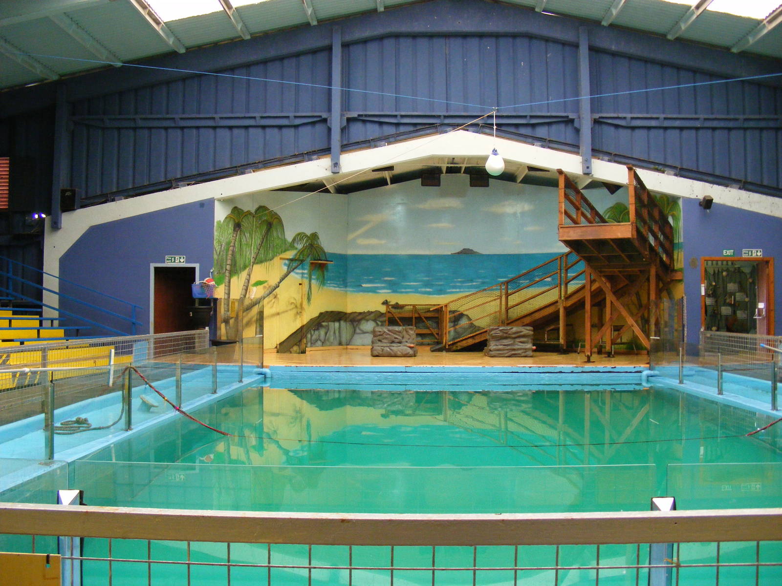 Californian sea lion display pool at Blair Drummond Safari Park, 19 May 201