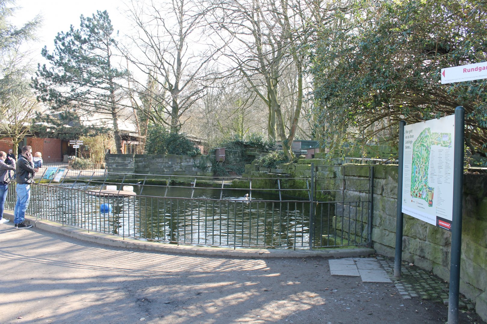 Californian sea-lion enclosure