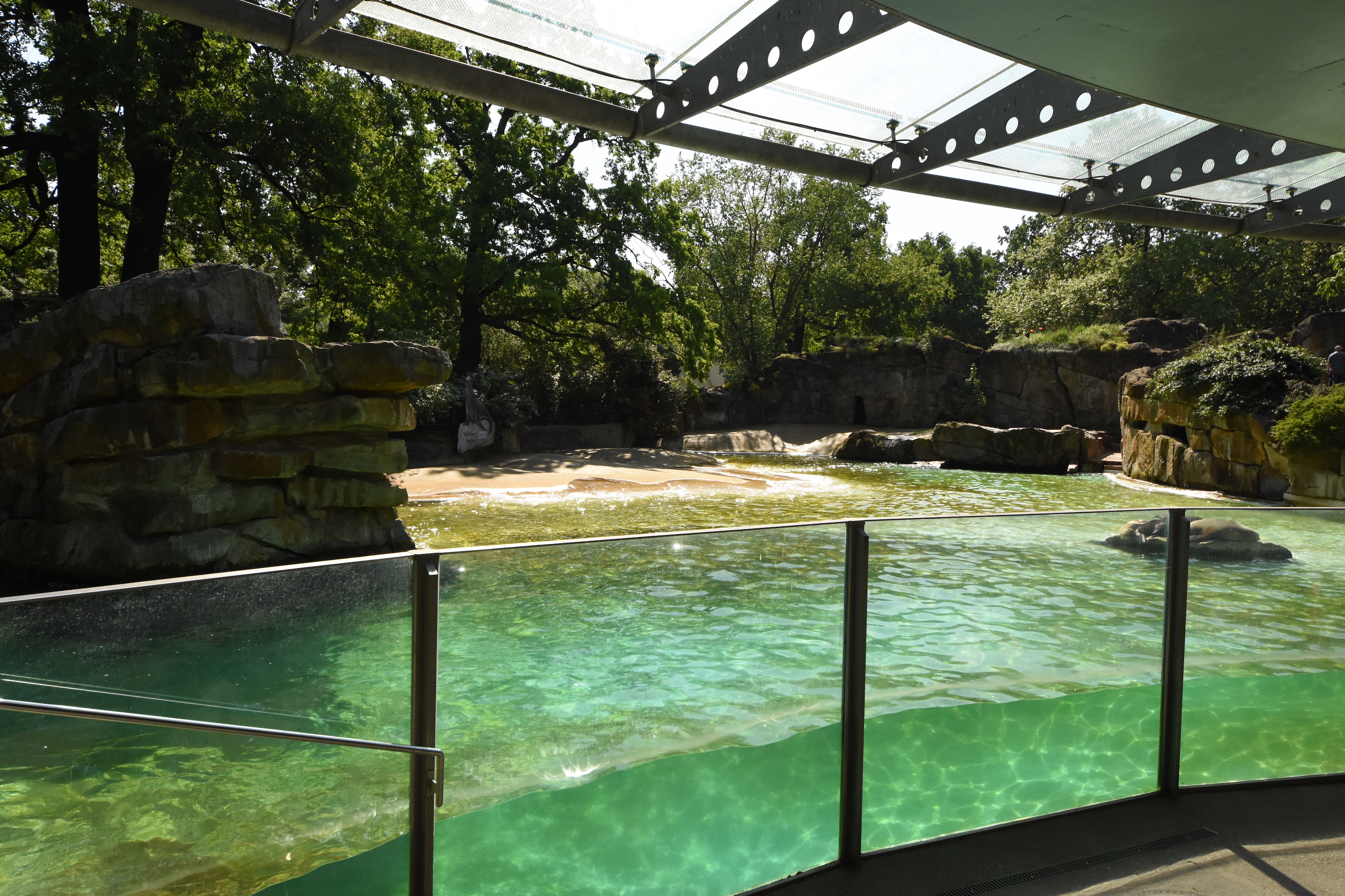 Californian sea lion enclosure