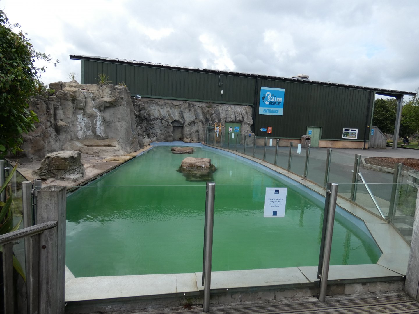 Californian Sea Lion enclosure