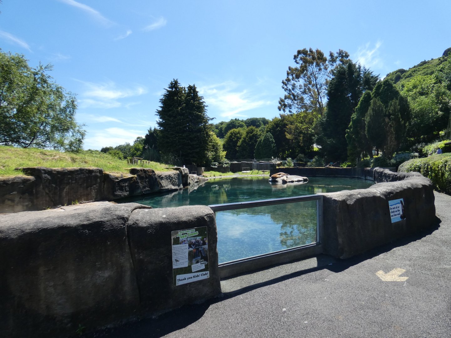 Californian sea lion enclosure