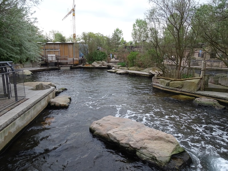 Californian sea lion enclosure