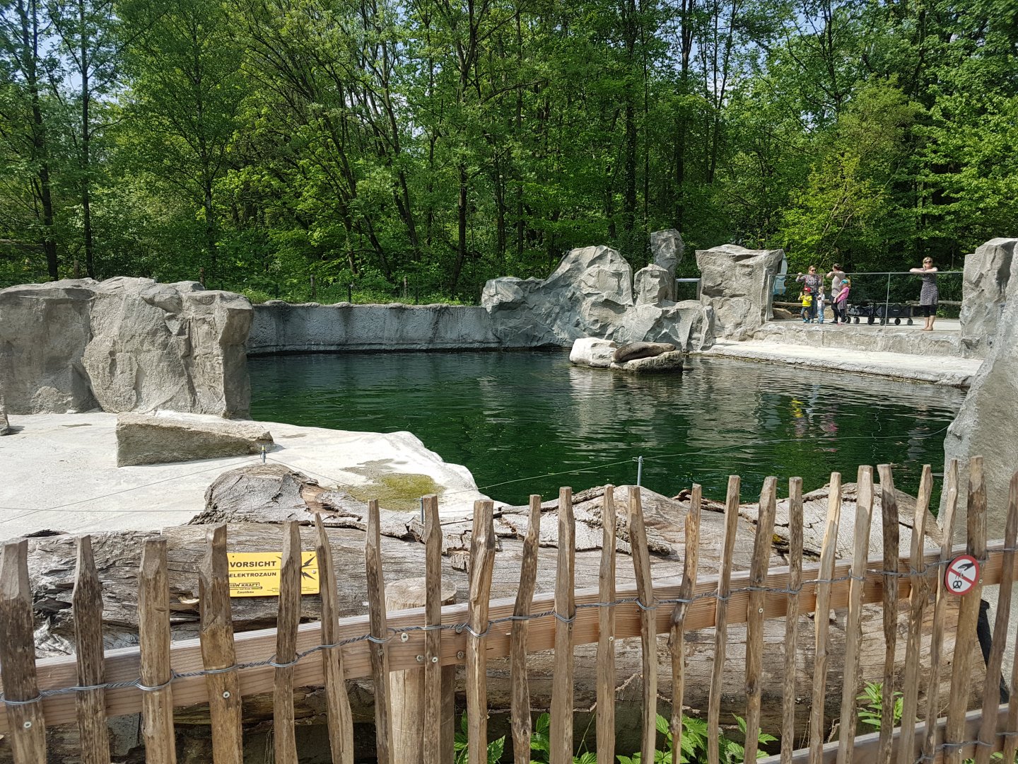 Californian Sea Lion Exhibit