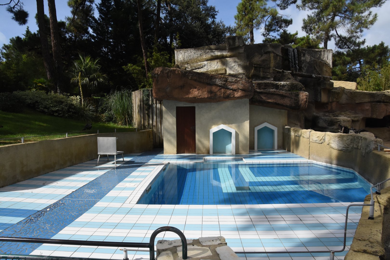 Californian Sea Lion separation