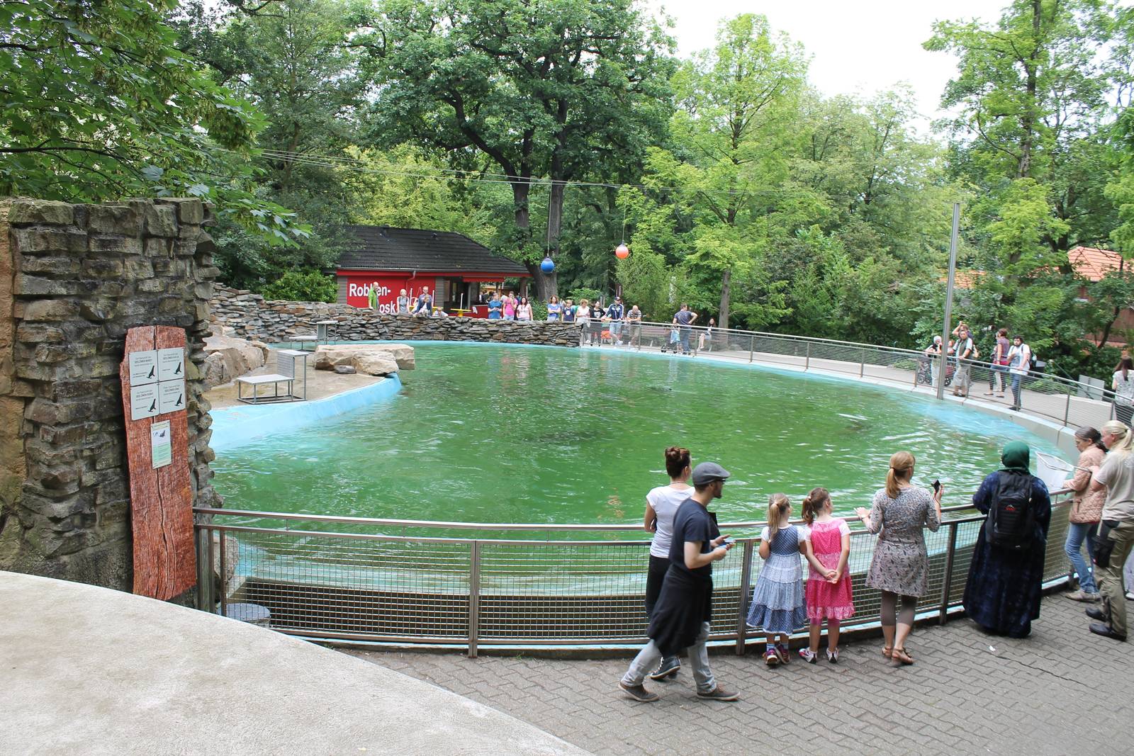 Californian sealion enclosure