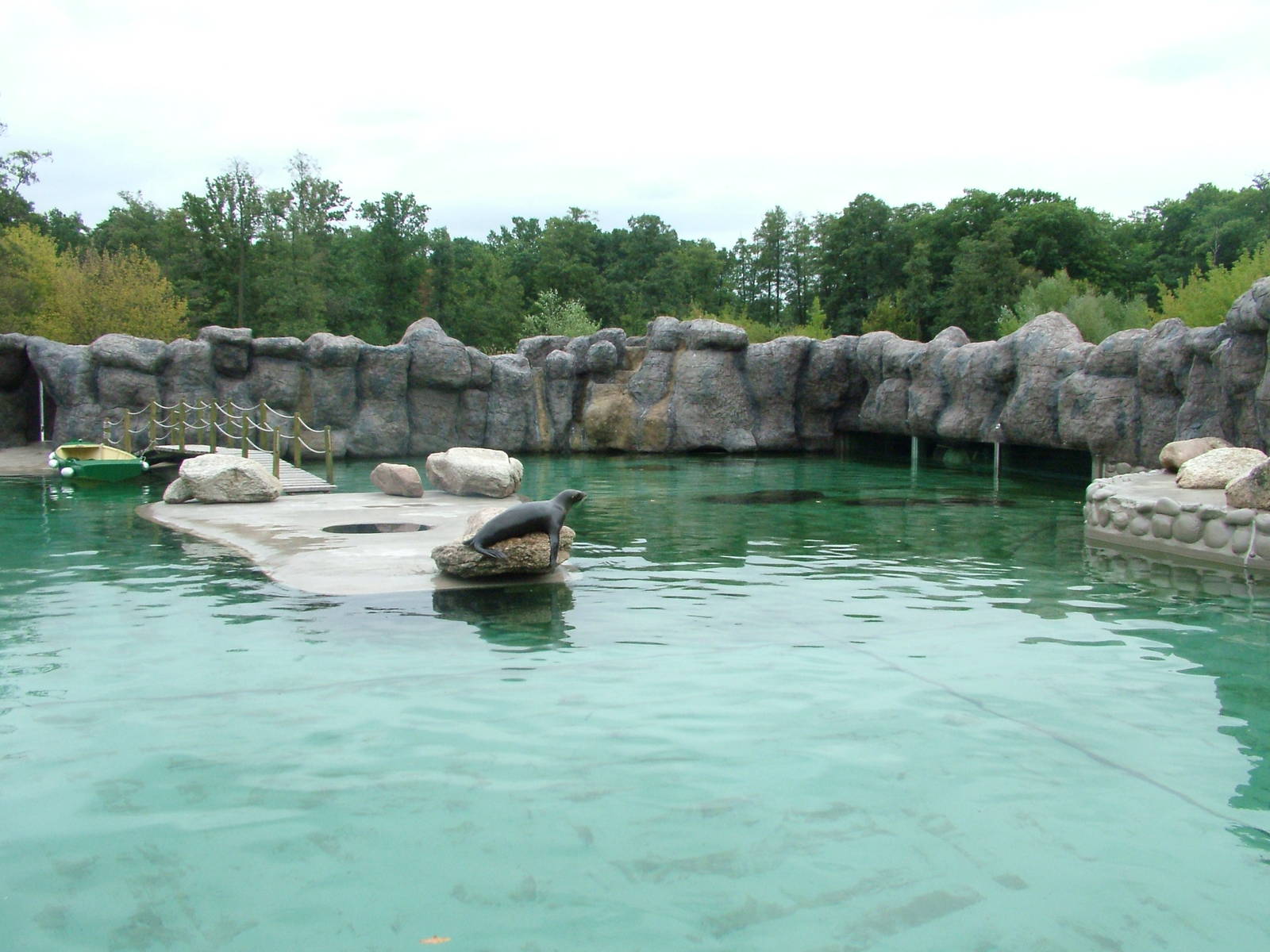 Californian Sealion pool at Opole Zoo, Poland 2008