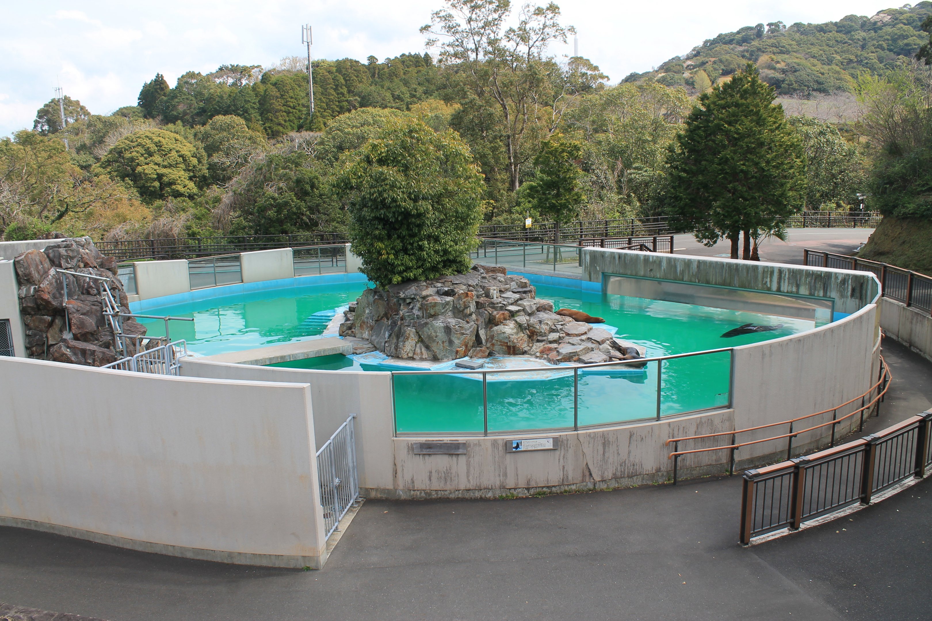 Californian Sealion pool - Hirakawa Zoo (Kagoshima)