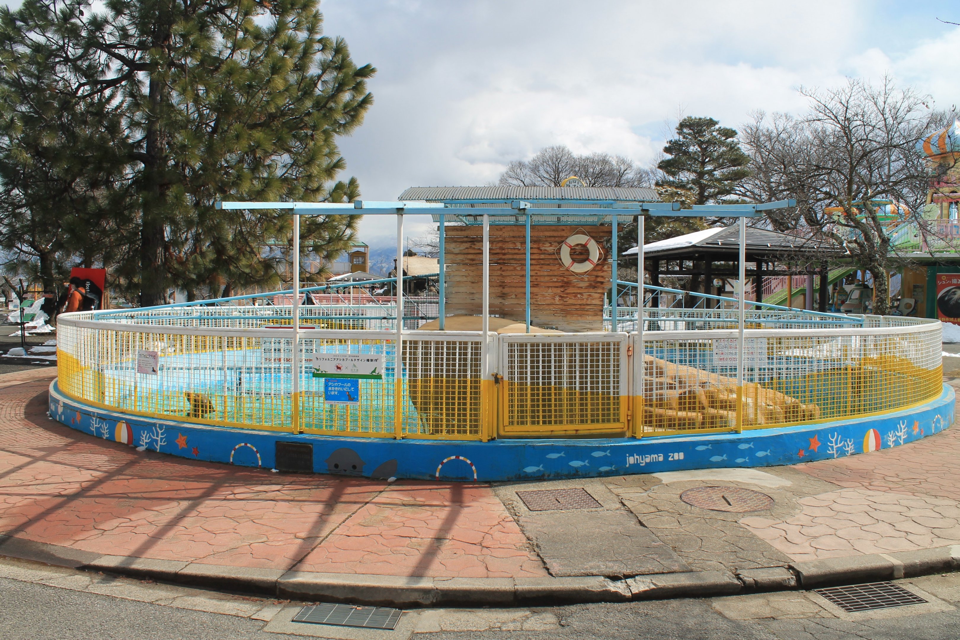 Californian Sealion pool, Joyama Zoo