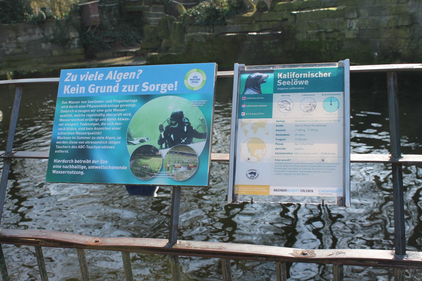 Californian see-lion sign