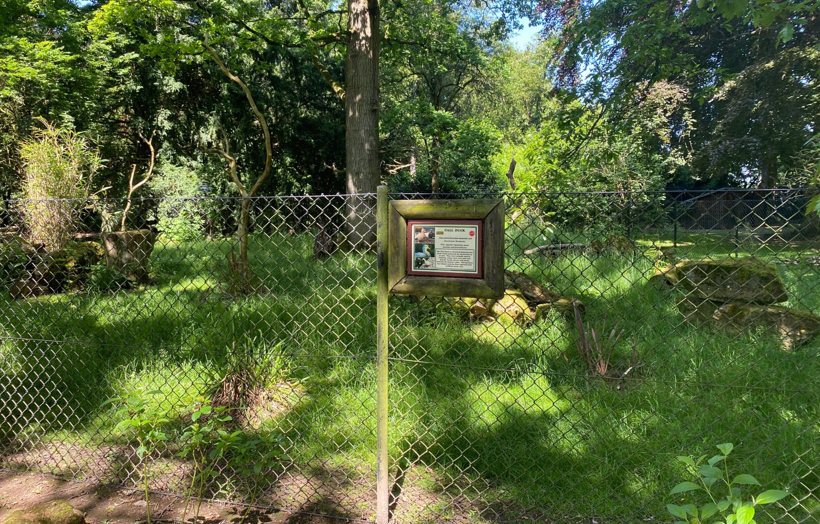 Call duck signage (old anteater enclosure), CWP, UK