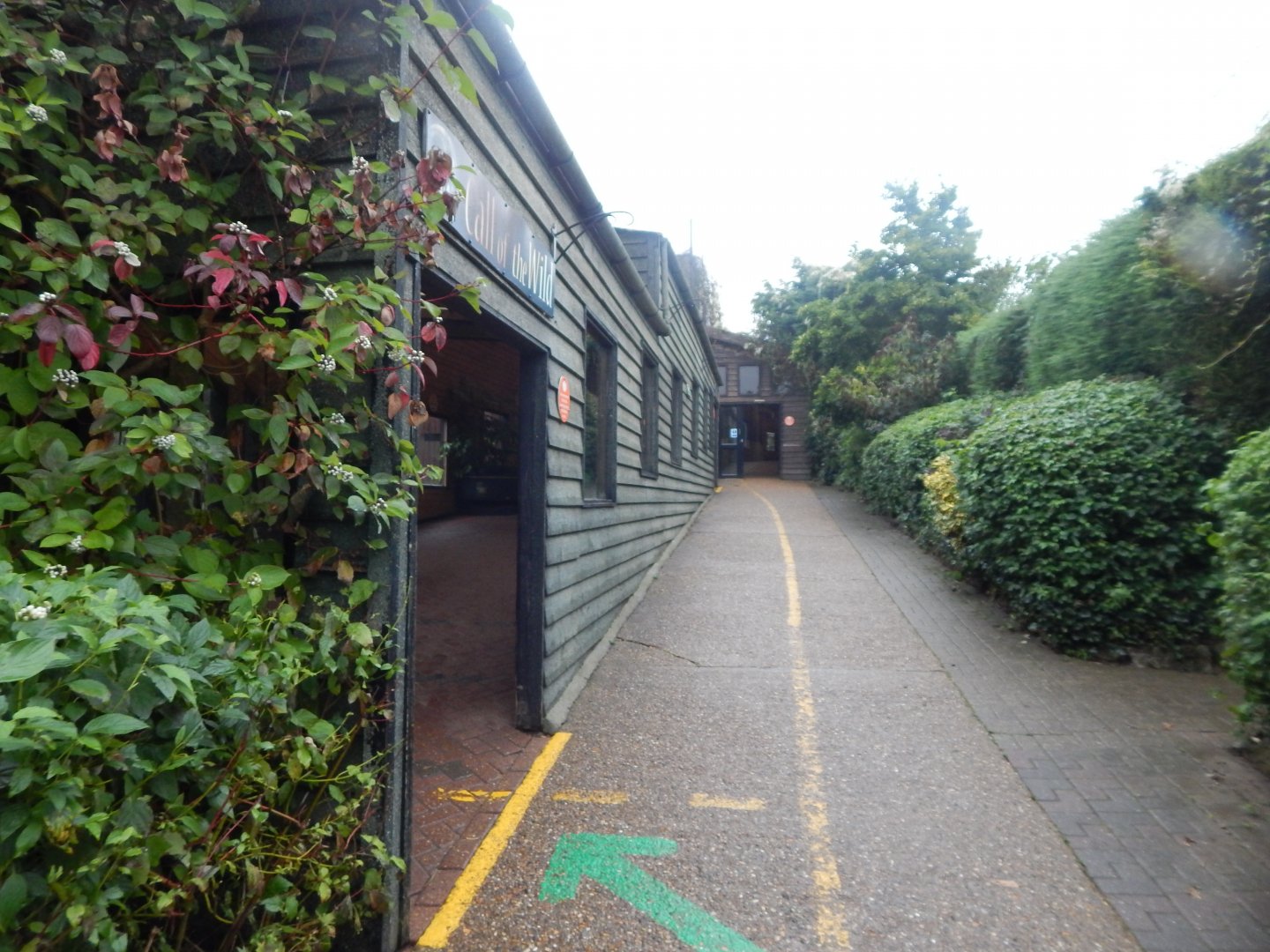 Call of the Wild 140921