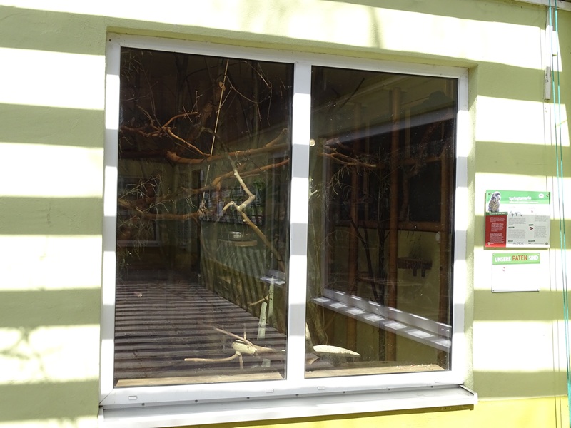 Callimico indoor enclosure